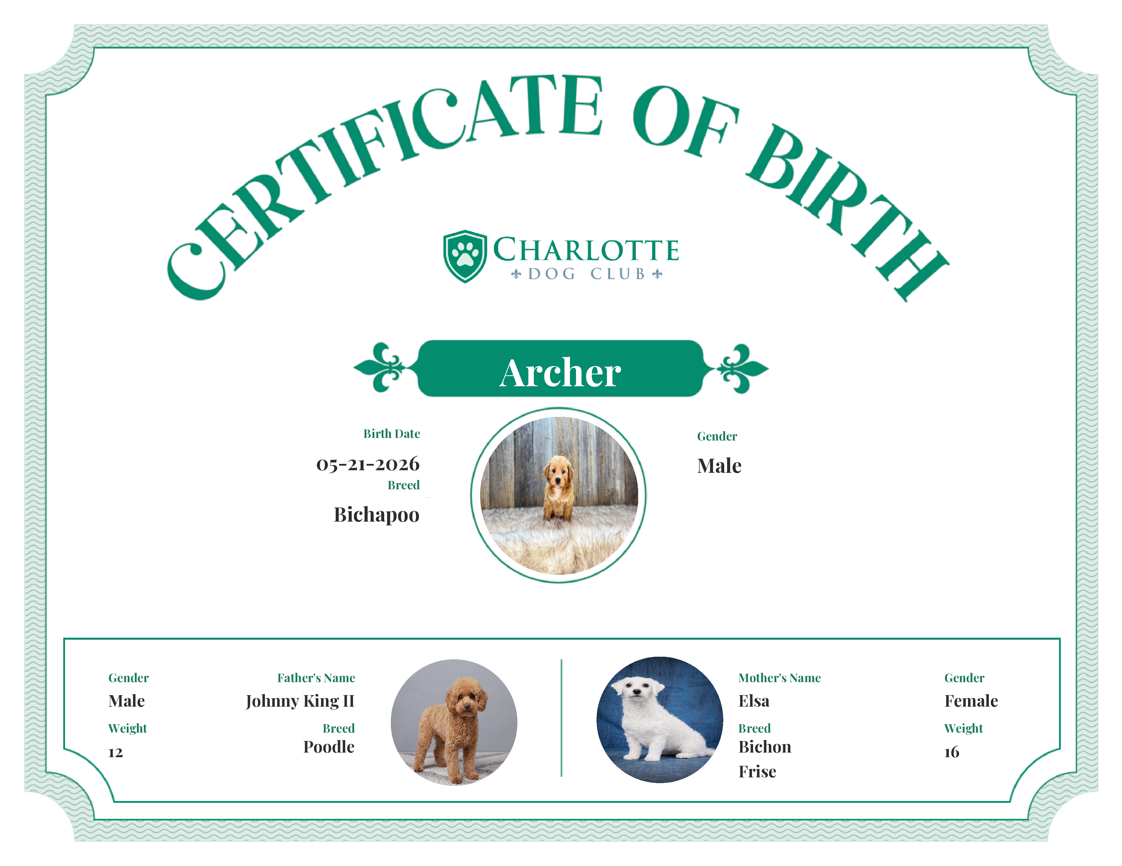 Archer's Birth Certificate