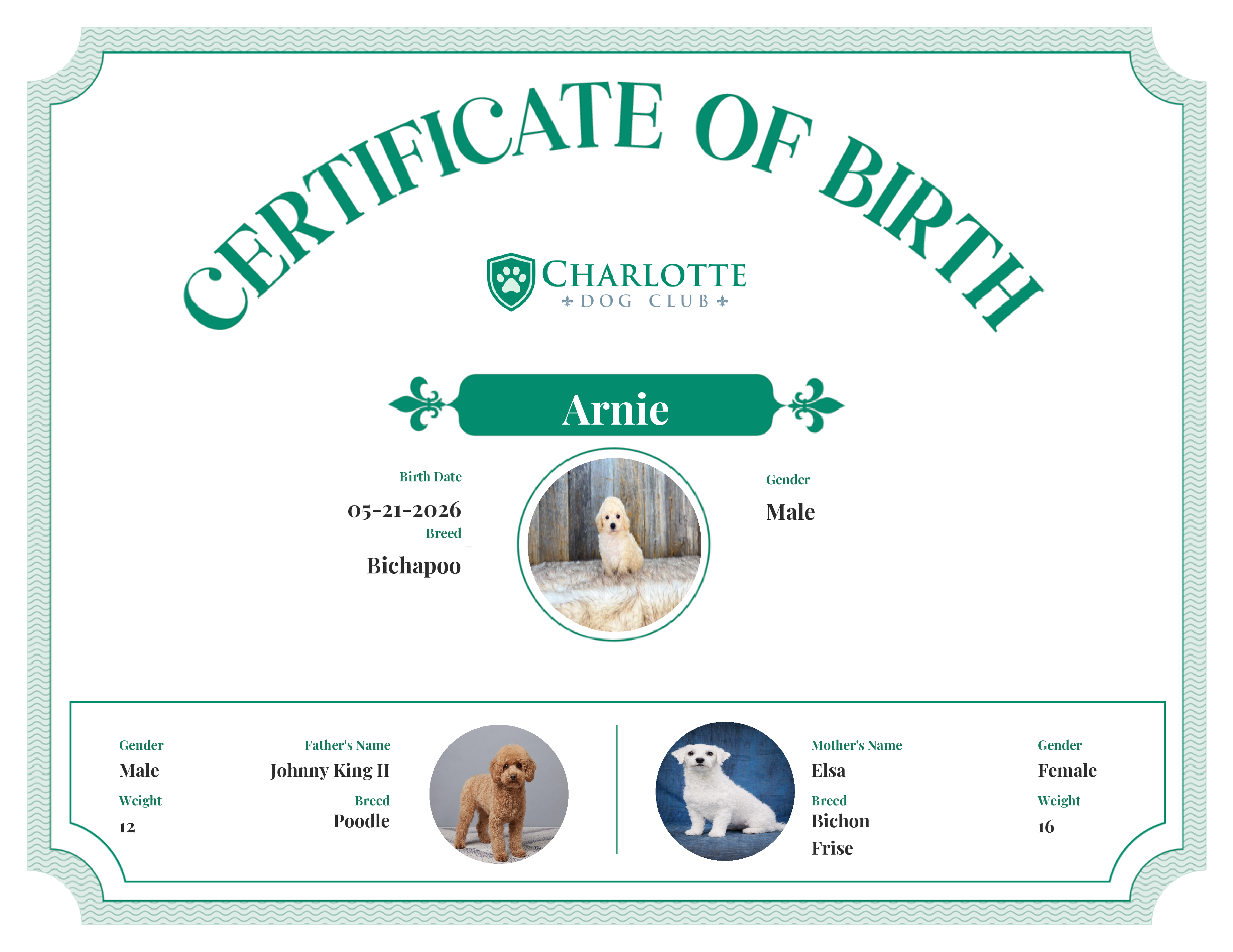 Arnie's Birth Certificate