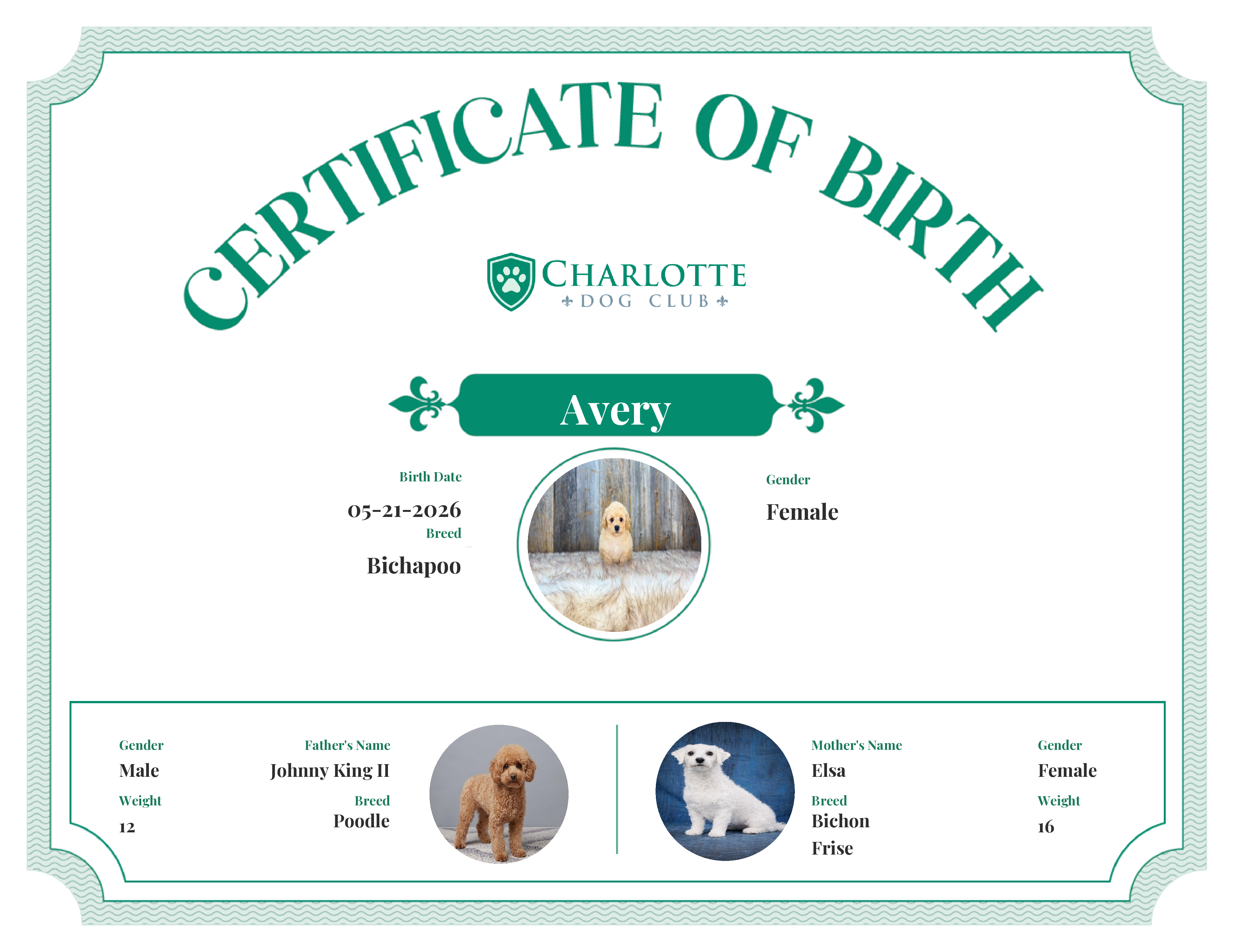 Avery's Birth Certificate