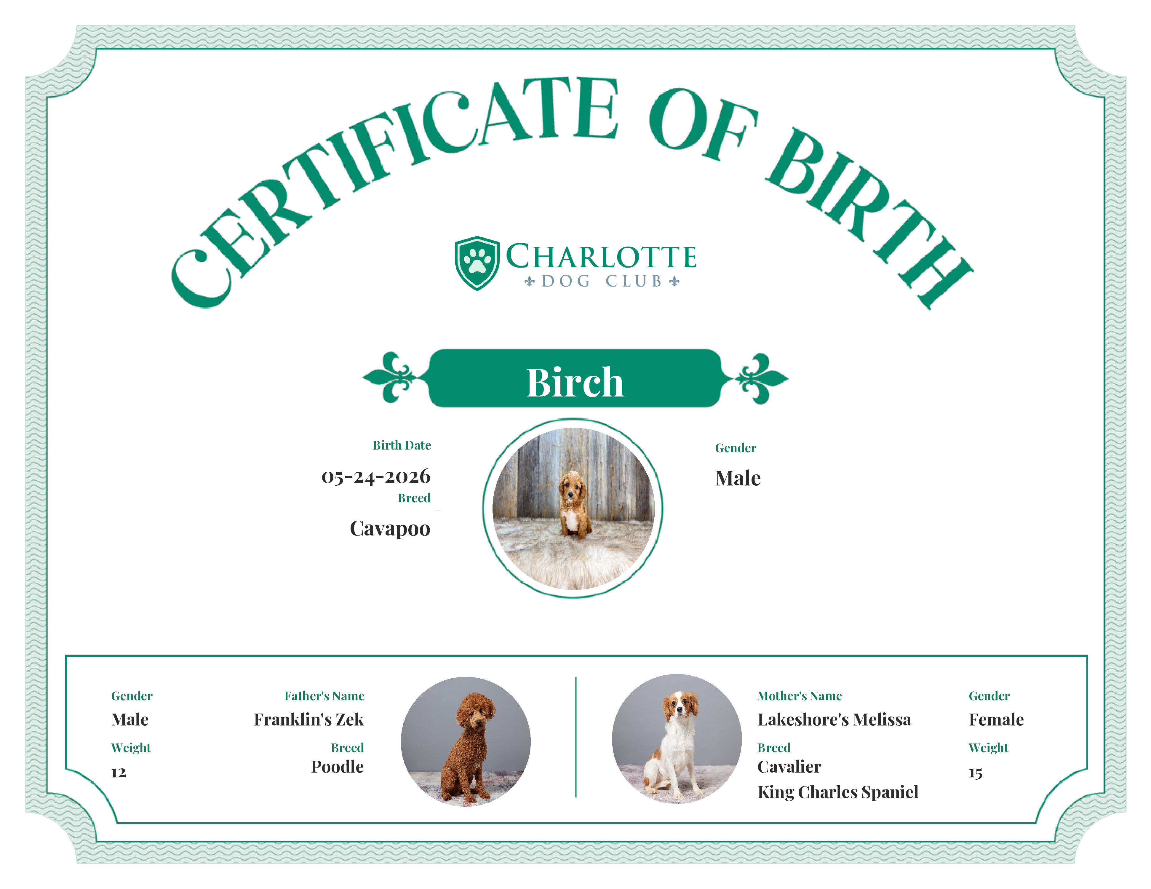 Birch's Birth Certificate