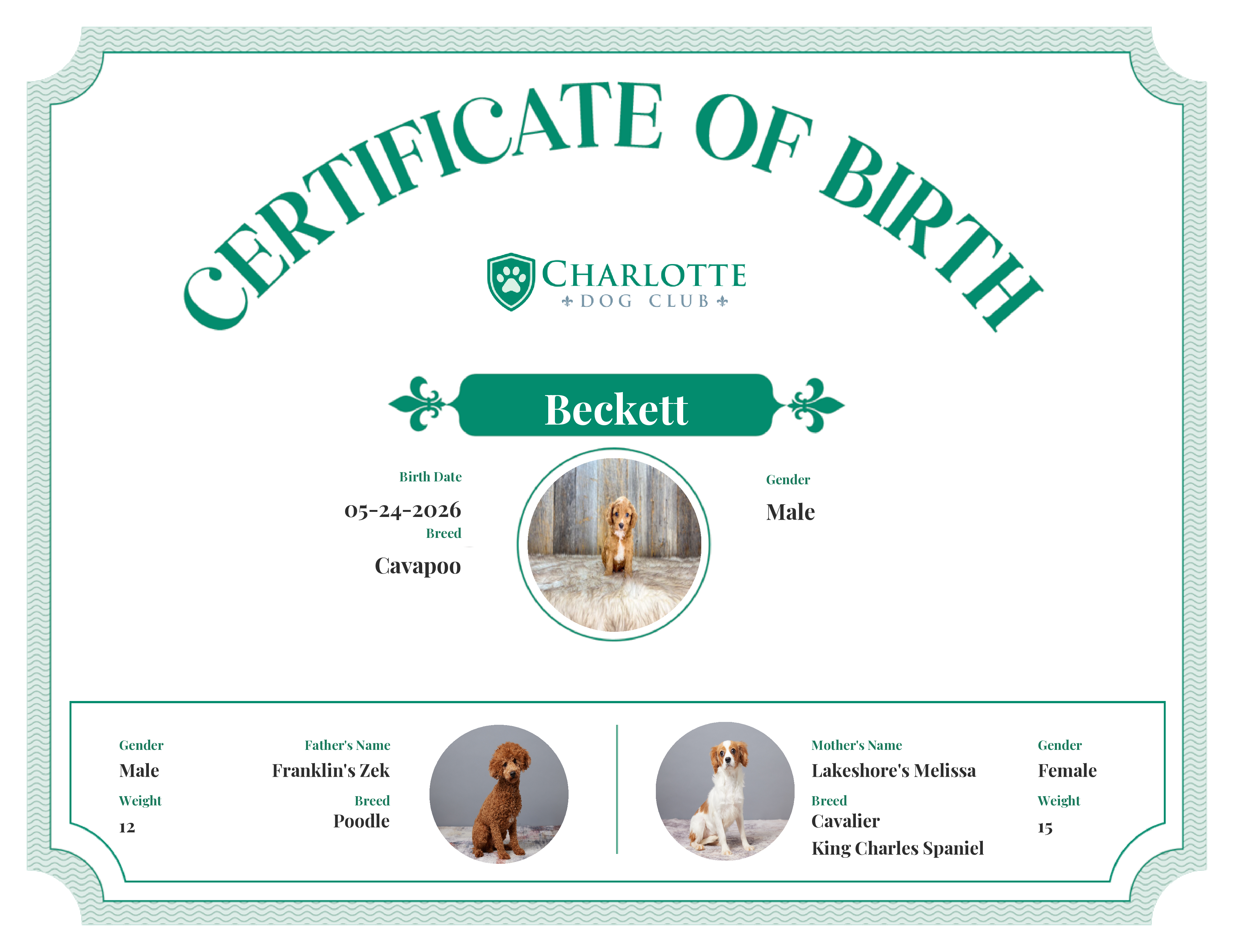 Beckett's Birth Certificate
