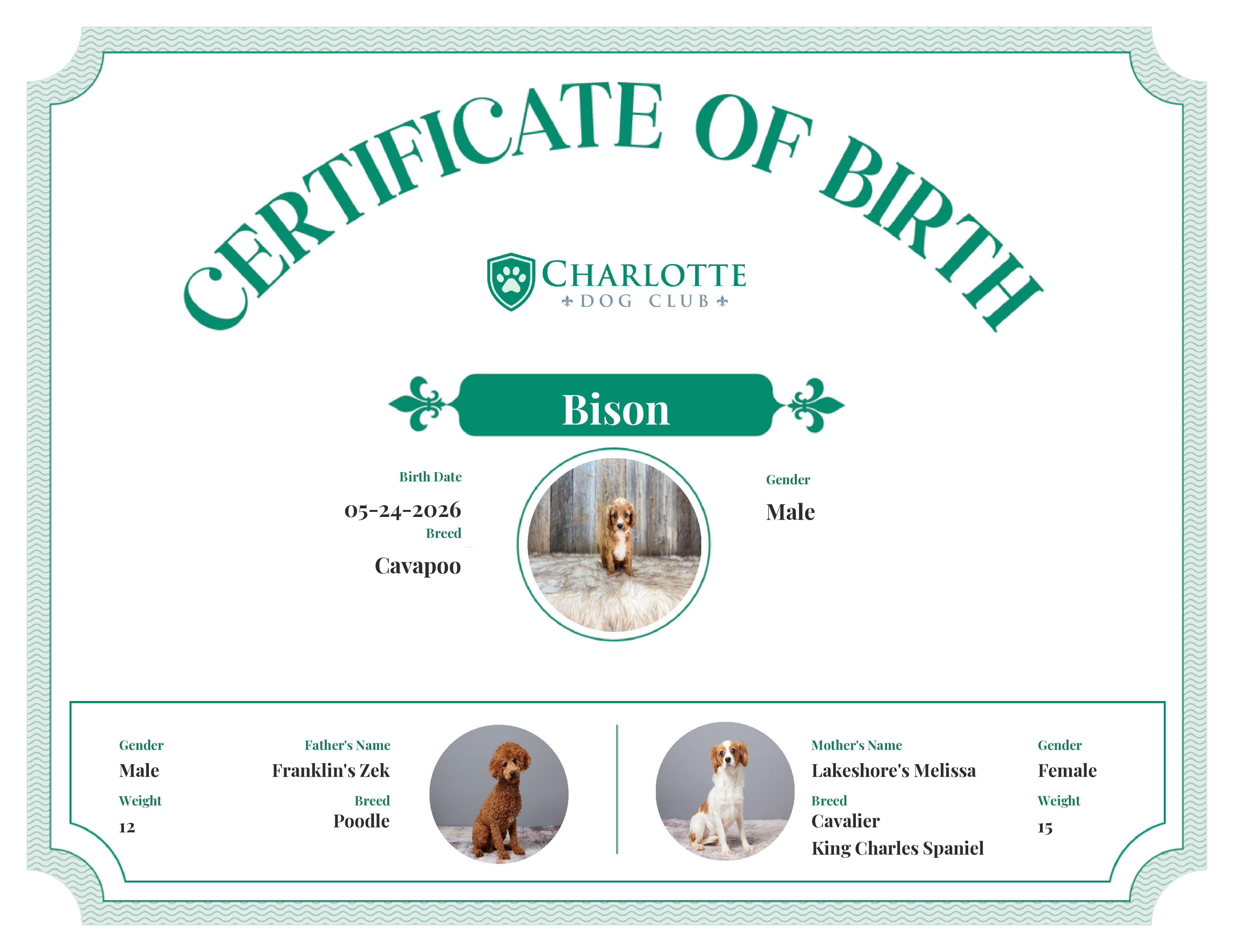 Bison's Birth Certificate