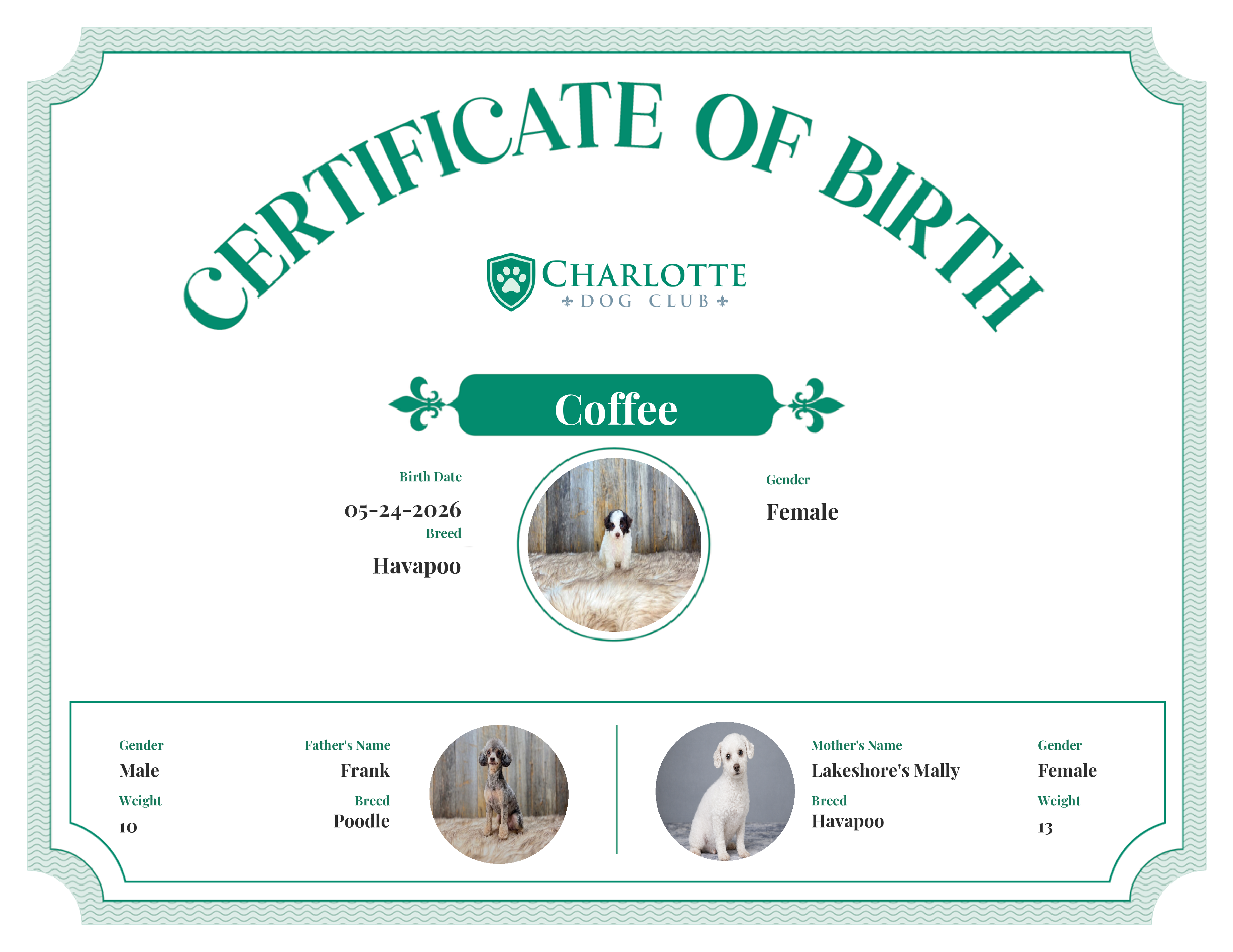 Coffee's Birth Certificate