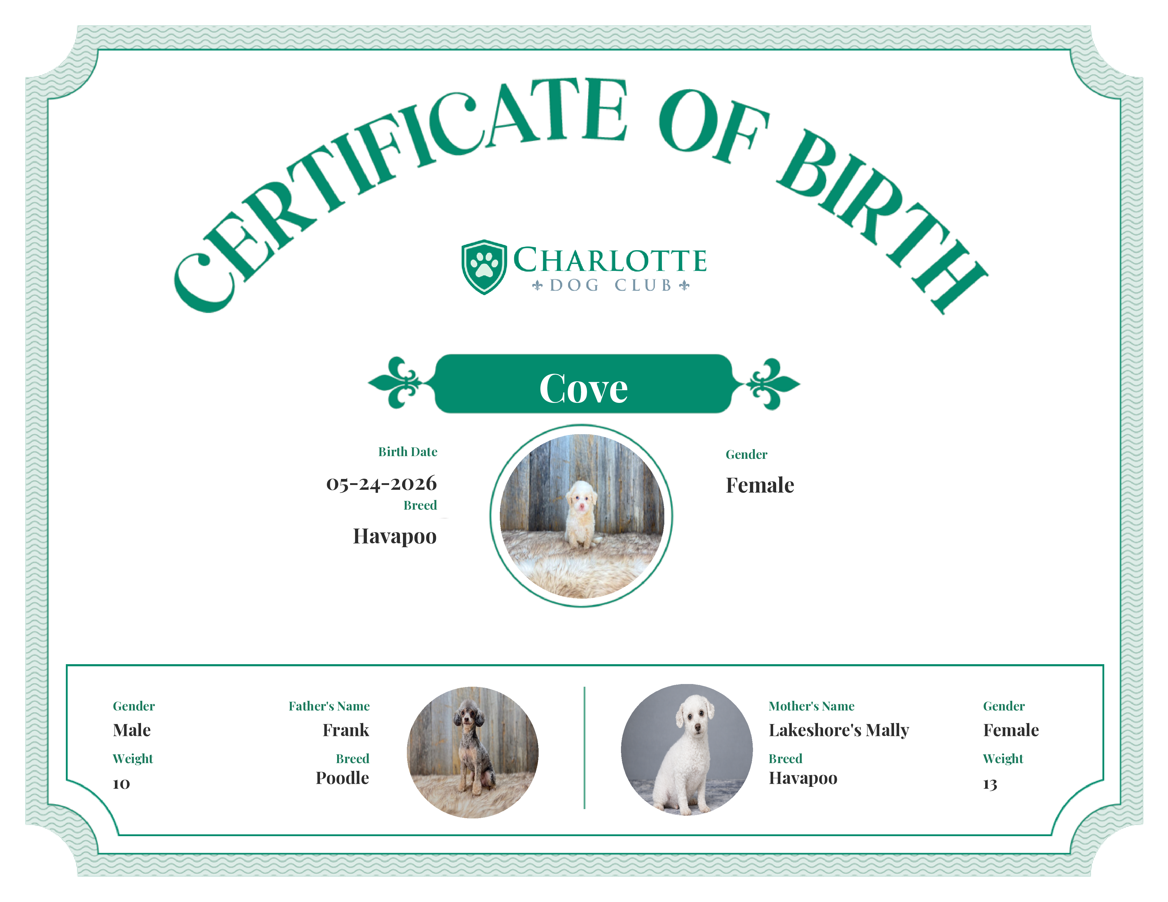Cove's Birth Certificate