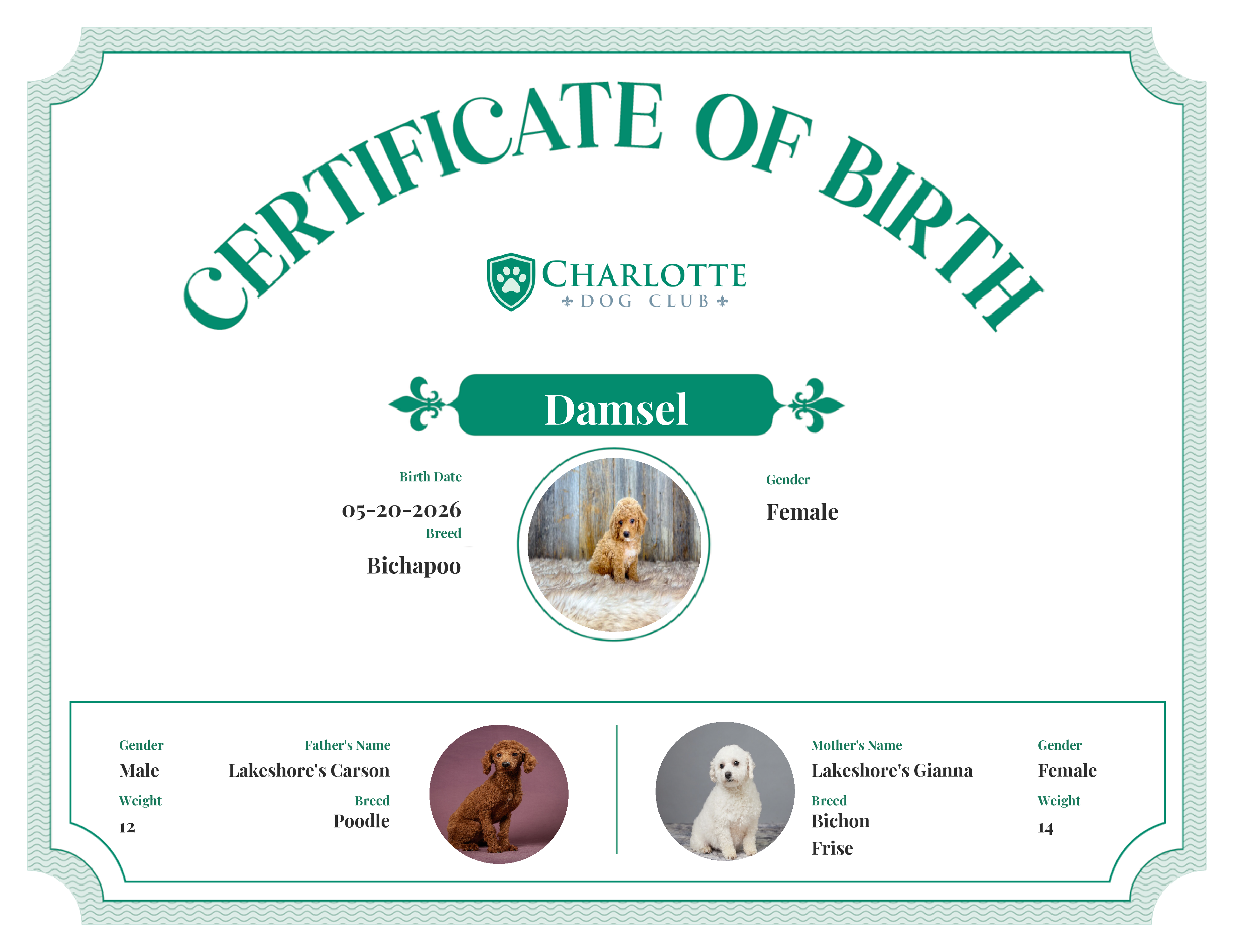 Damsel's Birth Certificate