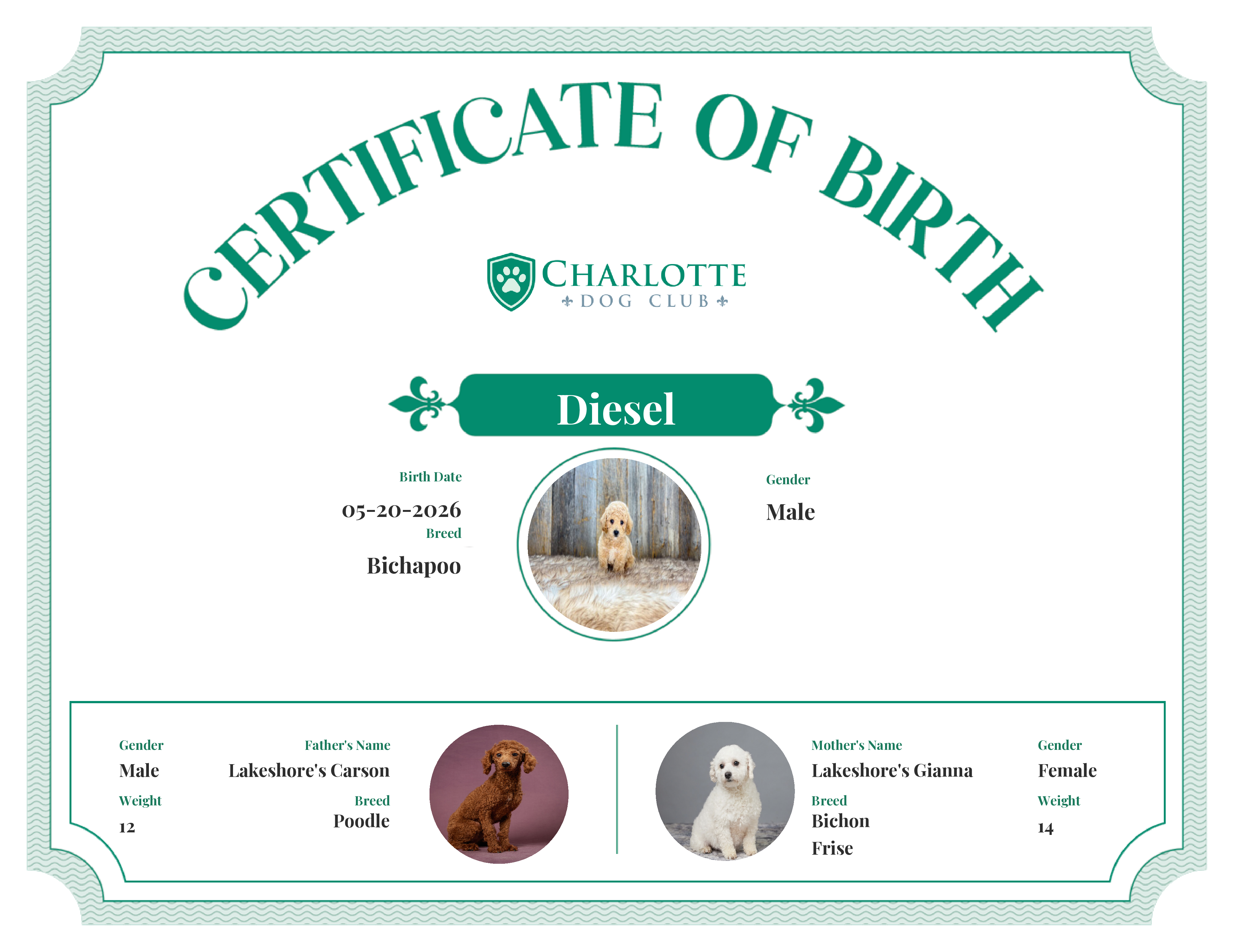 Diesel's Birth Certificate