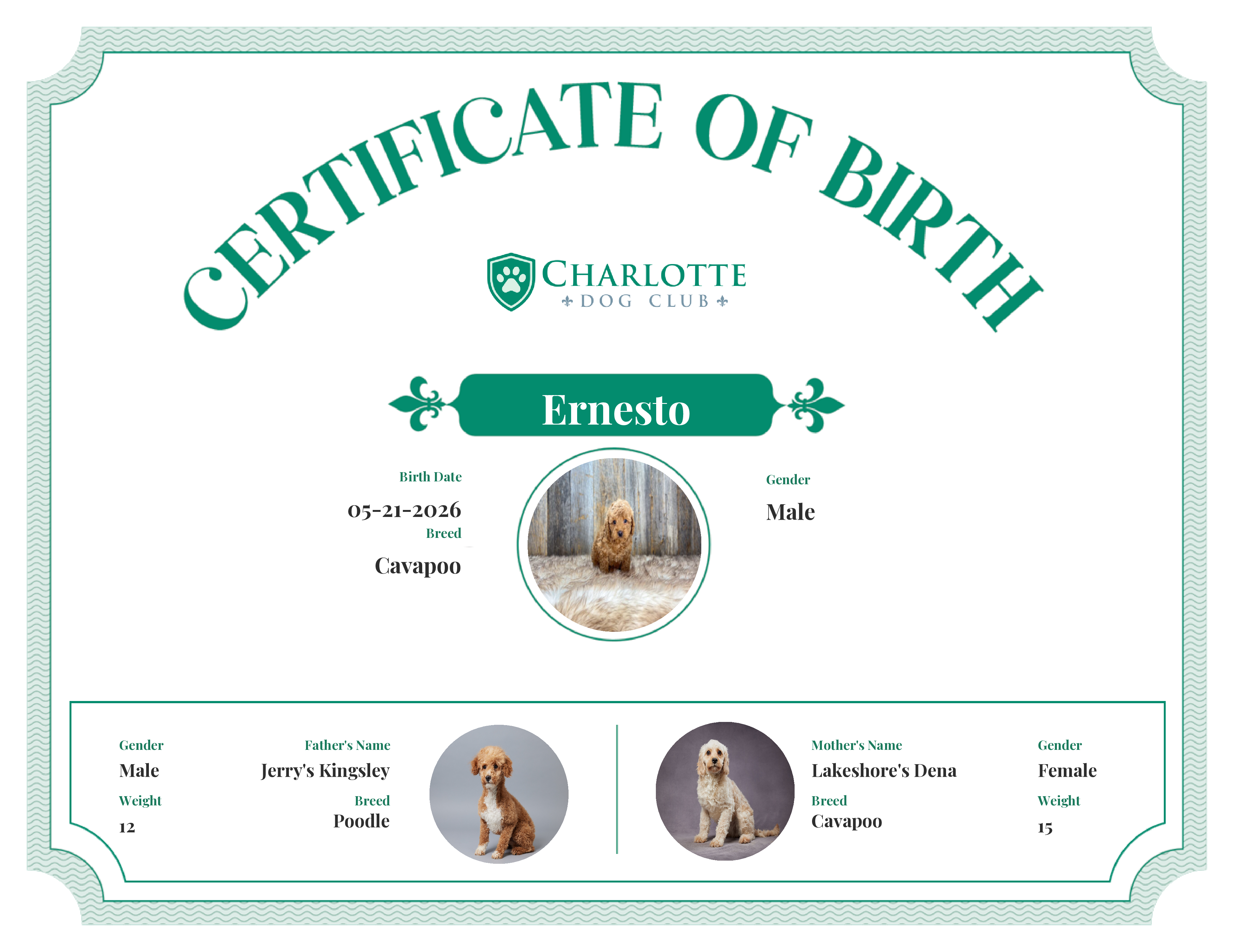 Ernesto's Birth Certificate