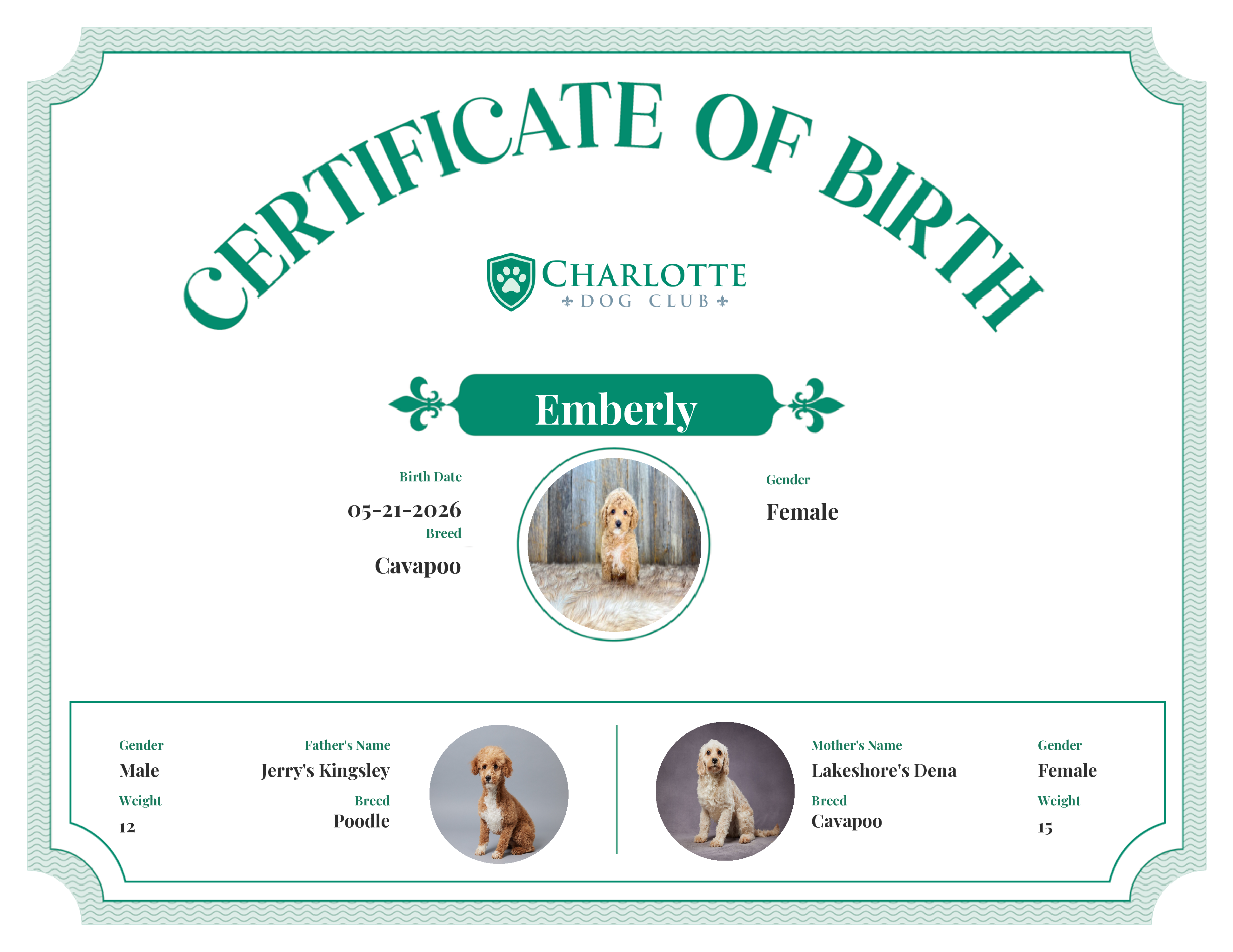 Emberly's Birth Certificate