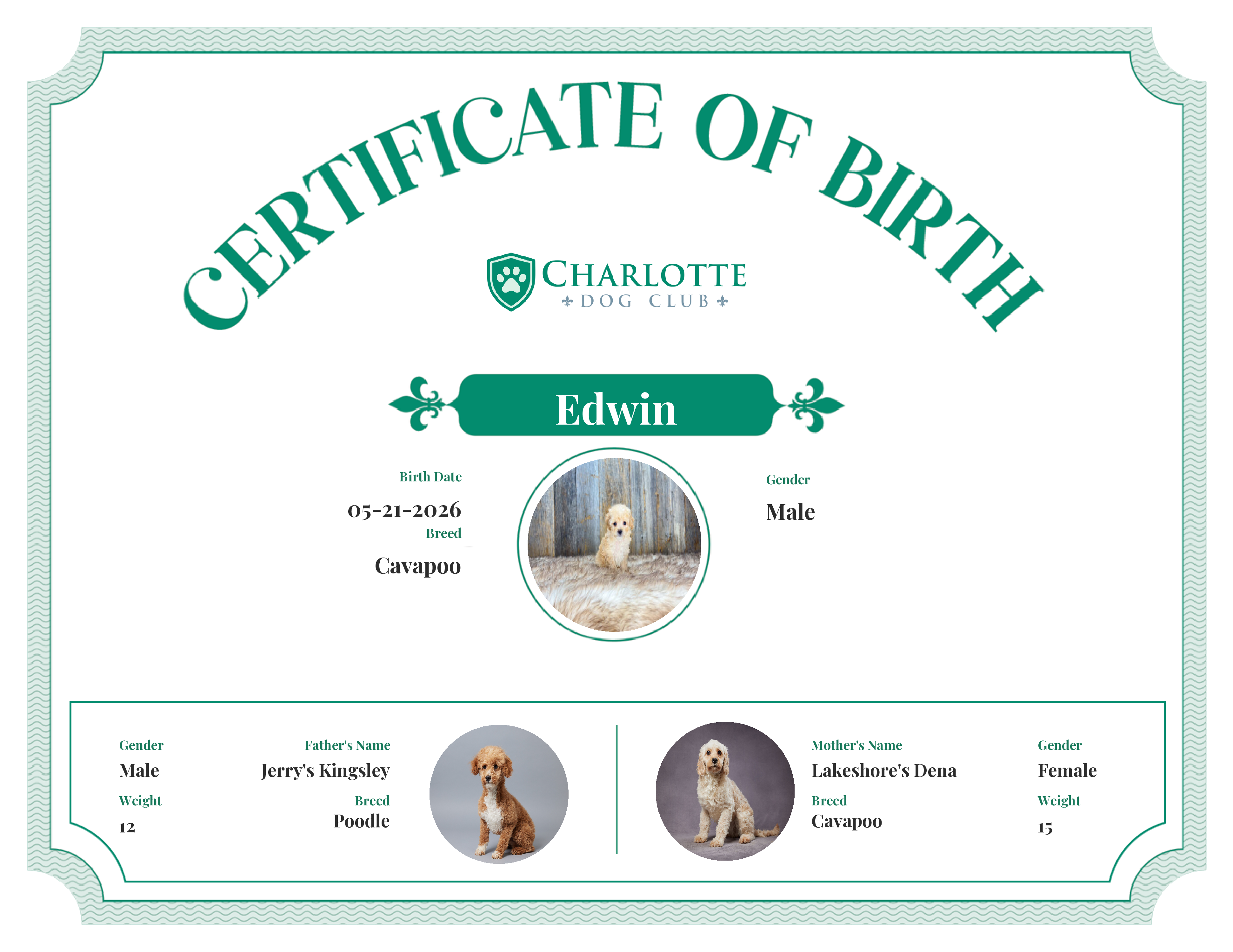 Edwin's Birth Certificate