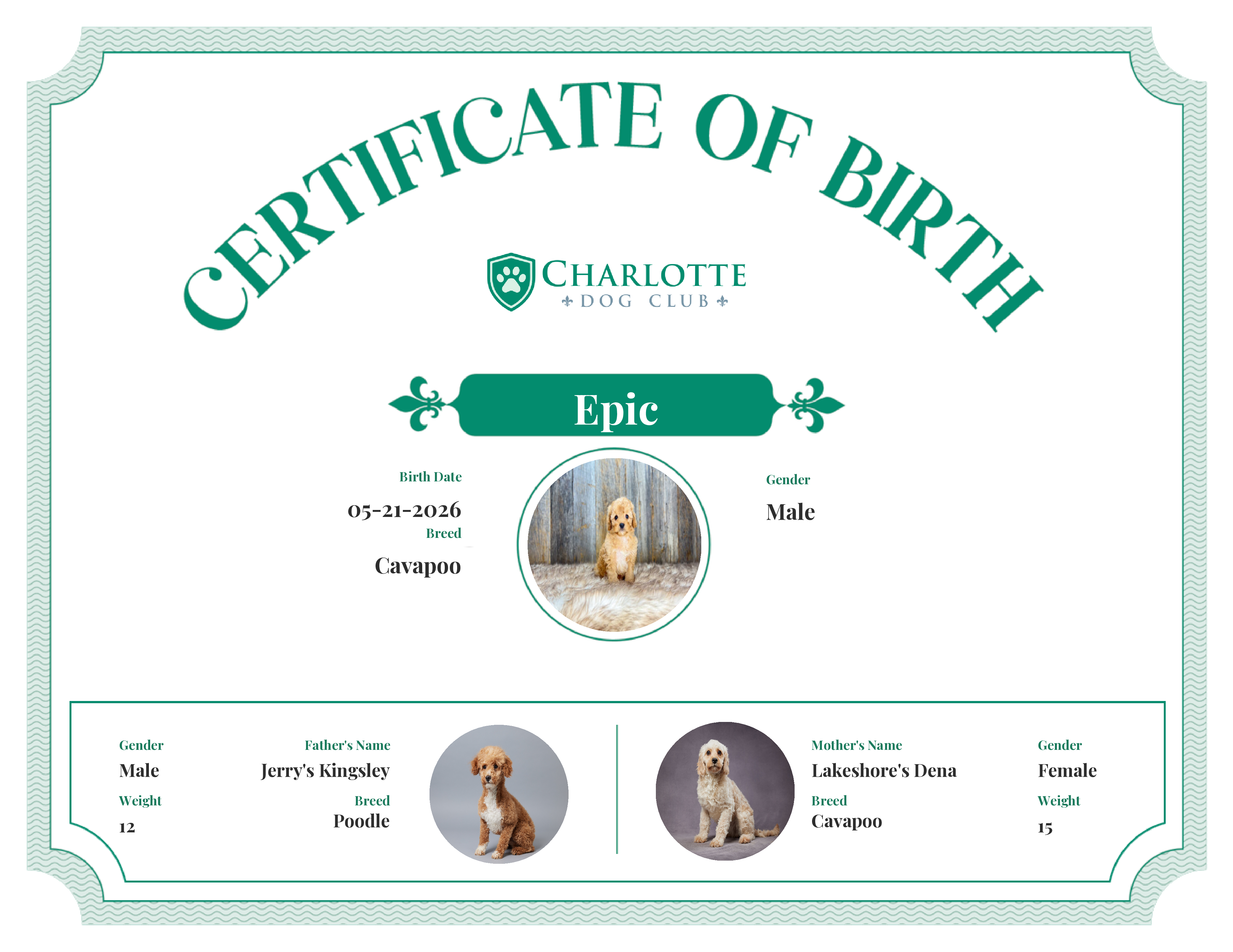 Epic's Birth Certificate