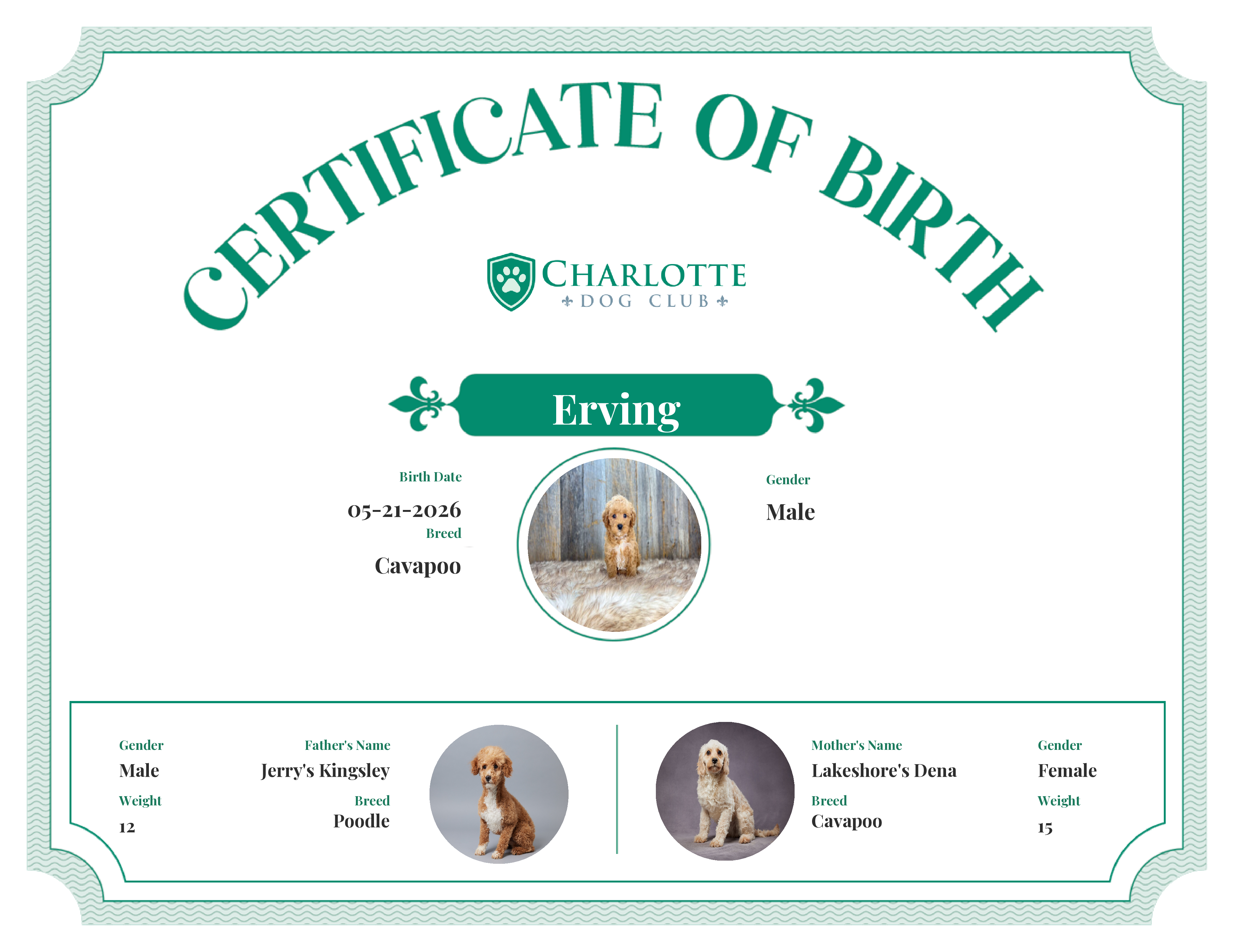 Erving's Birth Certificate