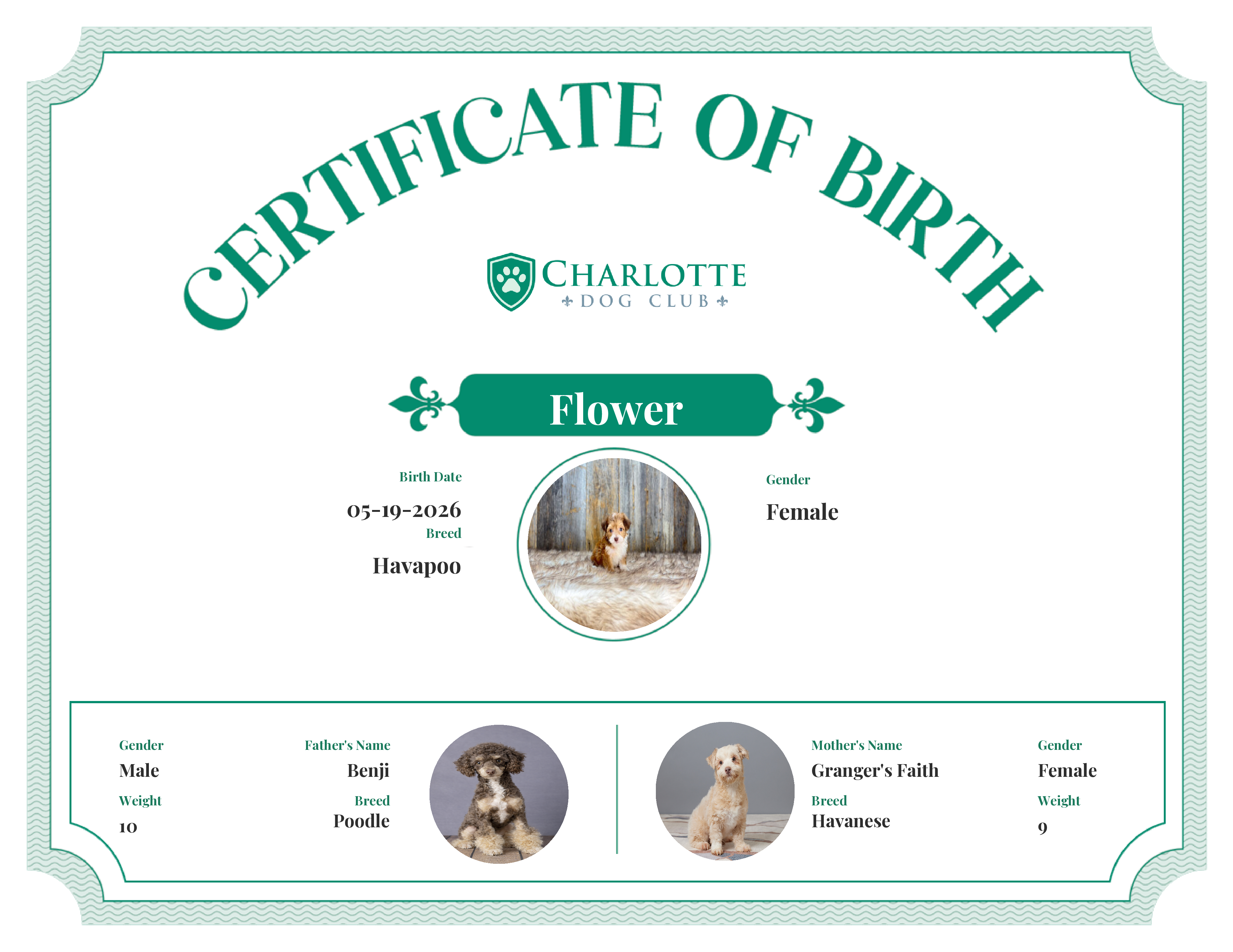 Flower's Birth Certificate