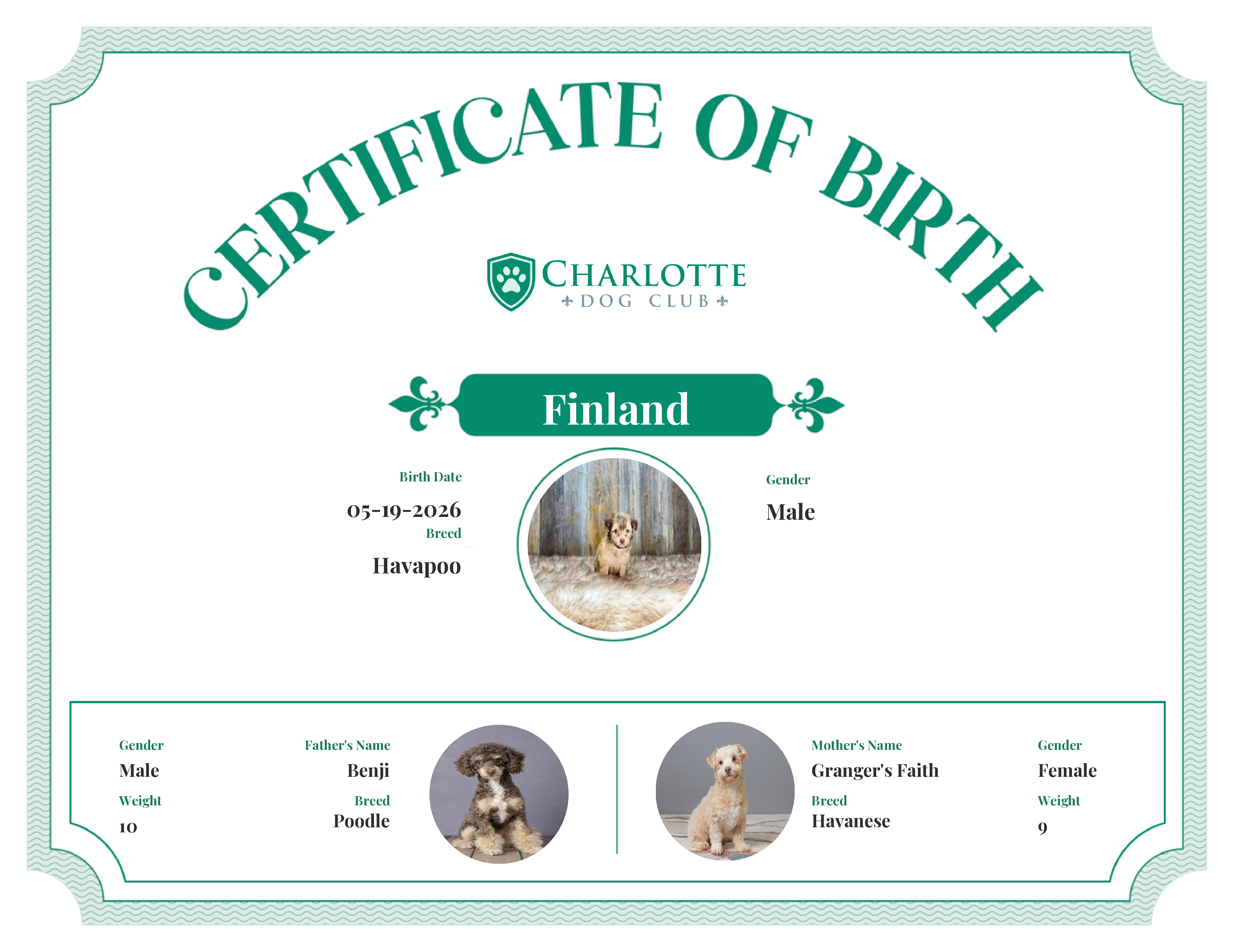 Finland's Birth Certificate