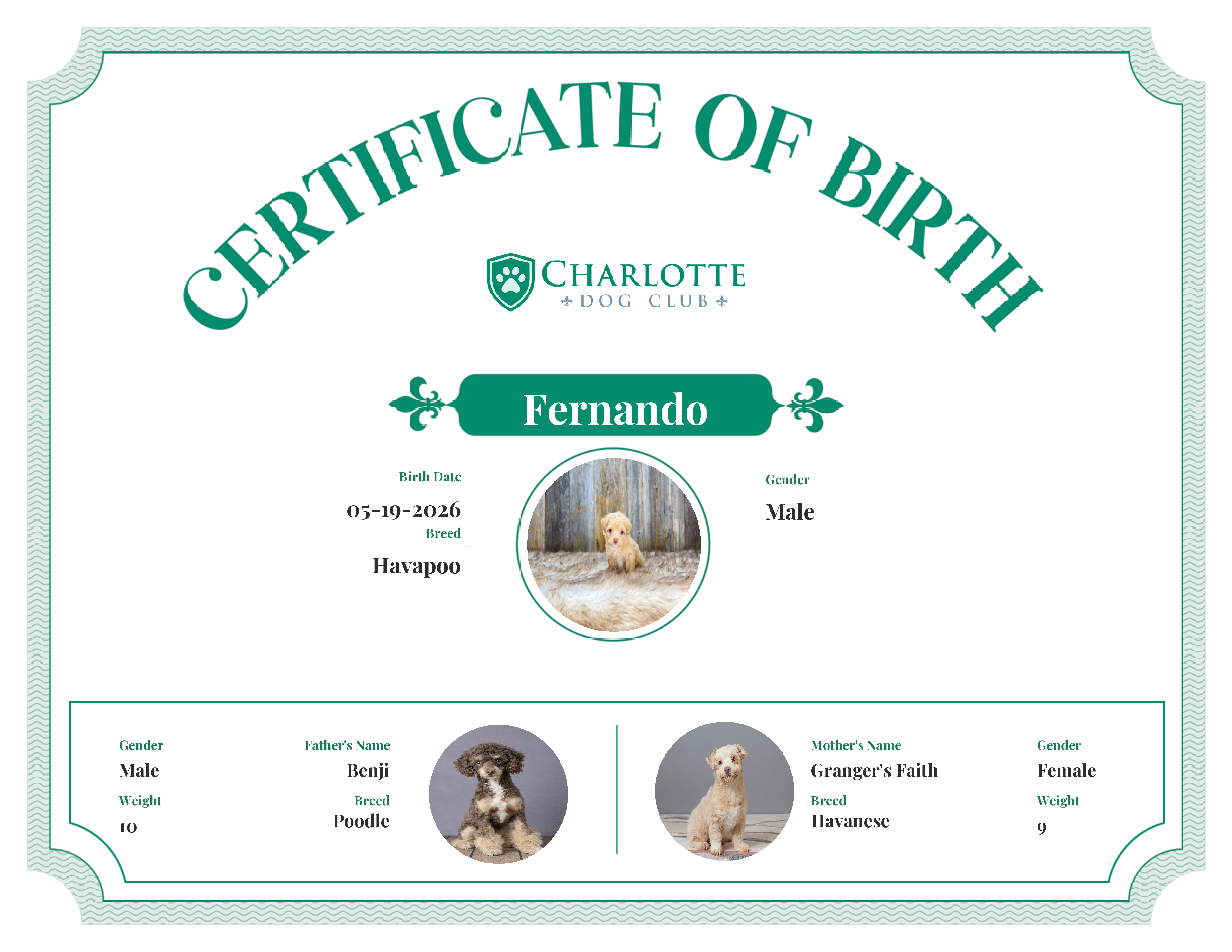 Fernando's Birth Certificate