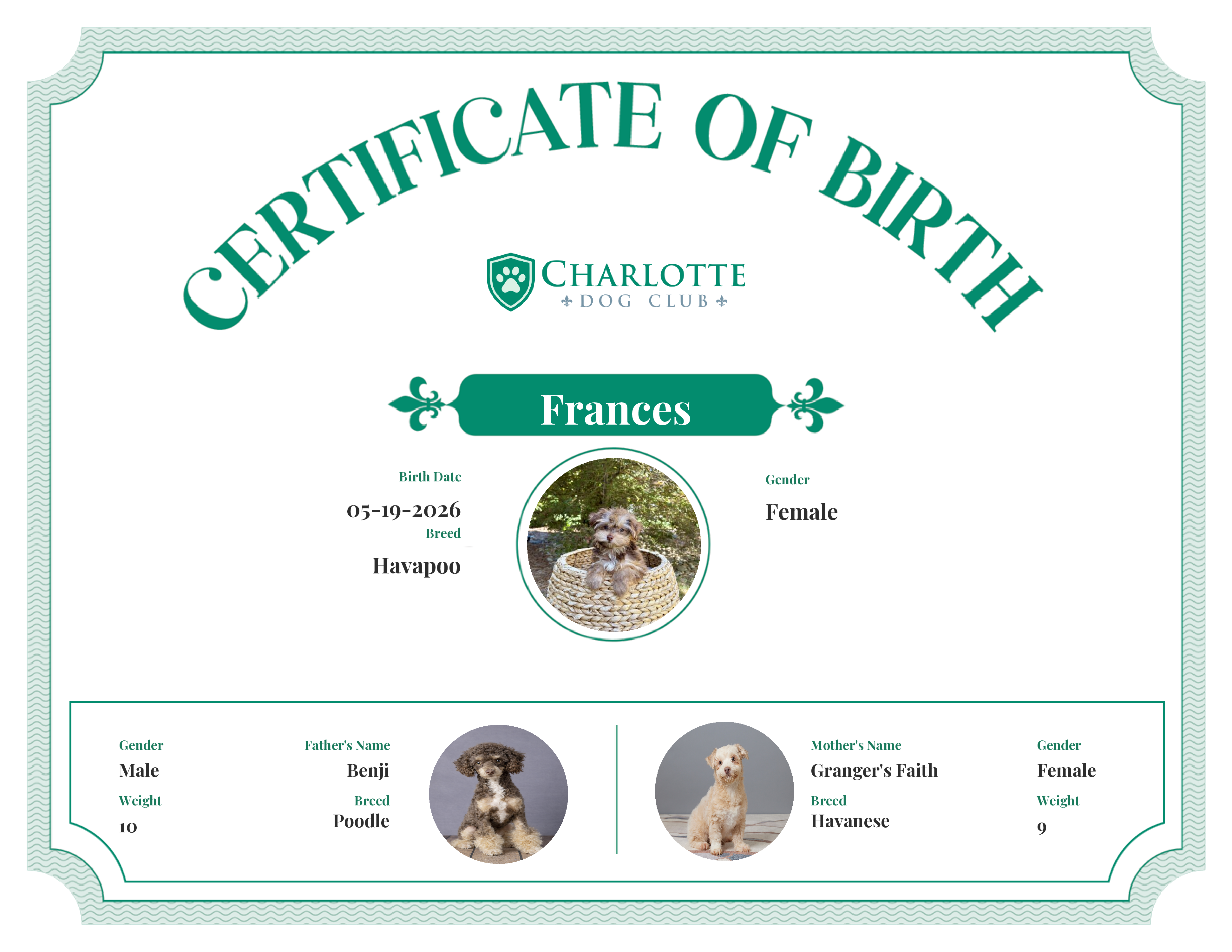 Frances's Birth Certificate