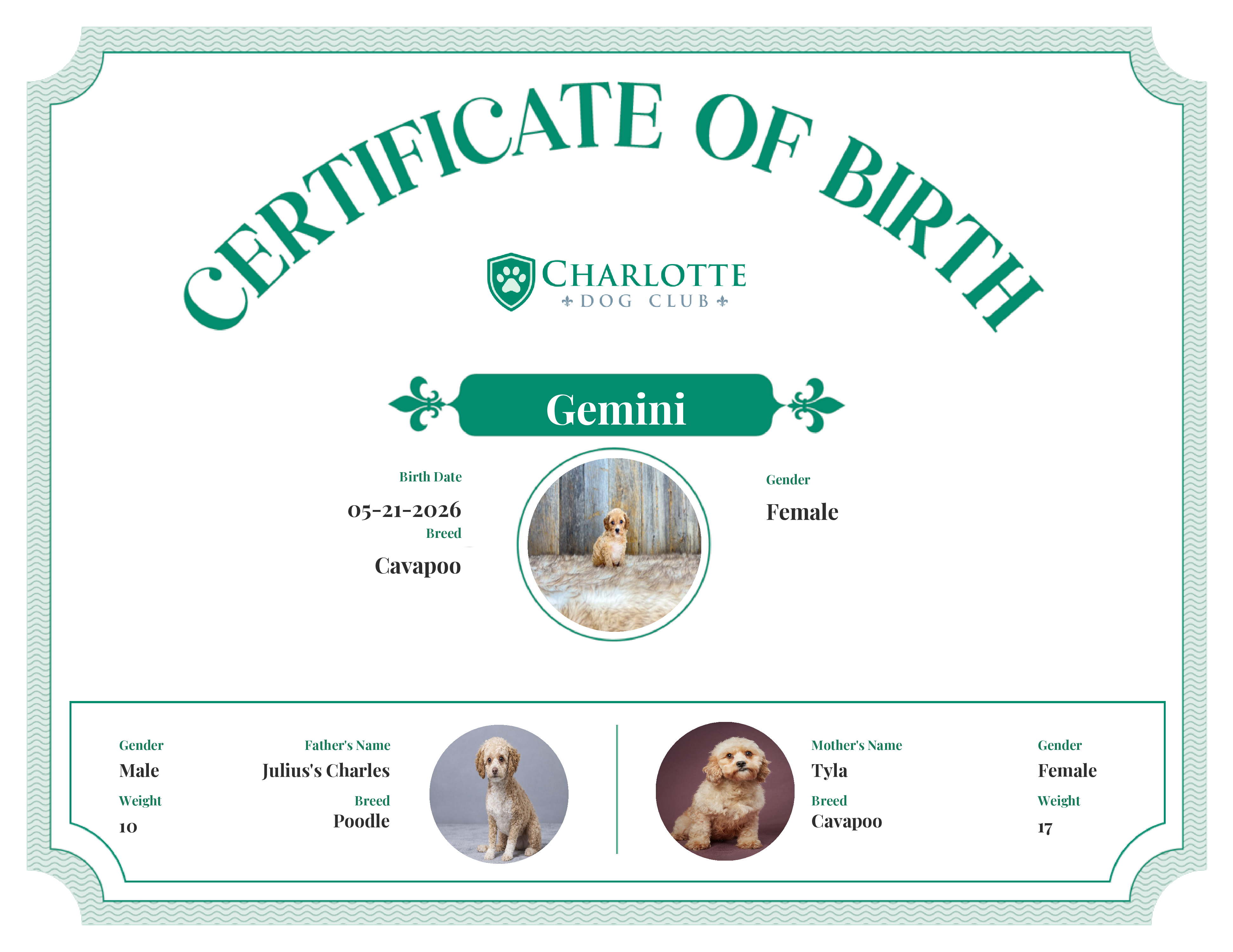 Gemini's Birth Certificate