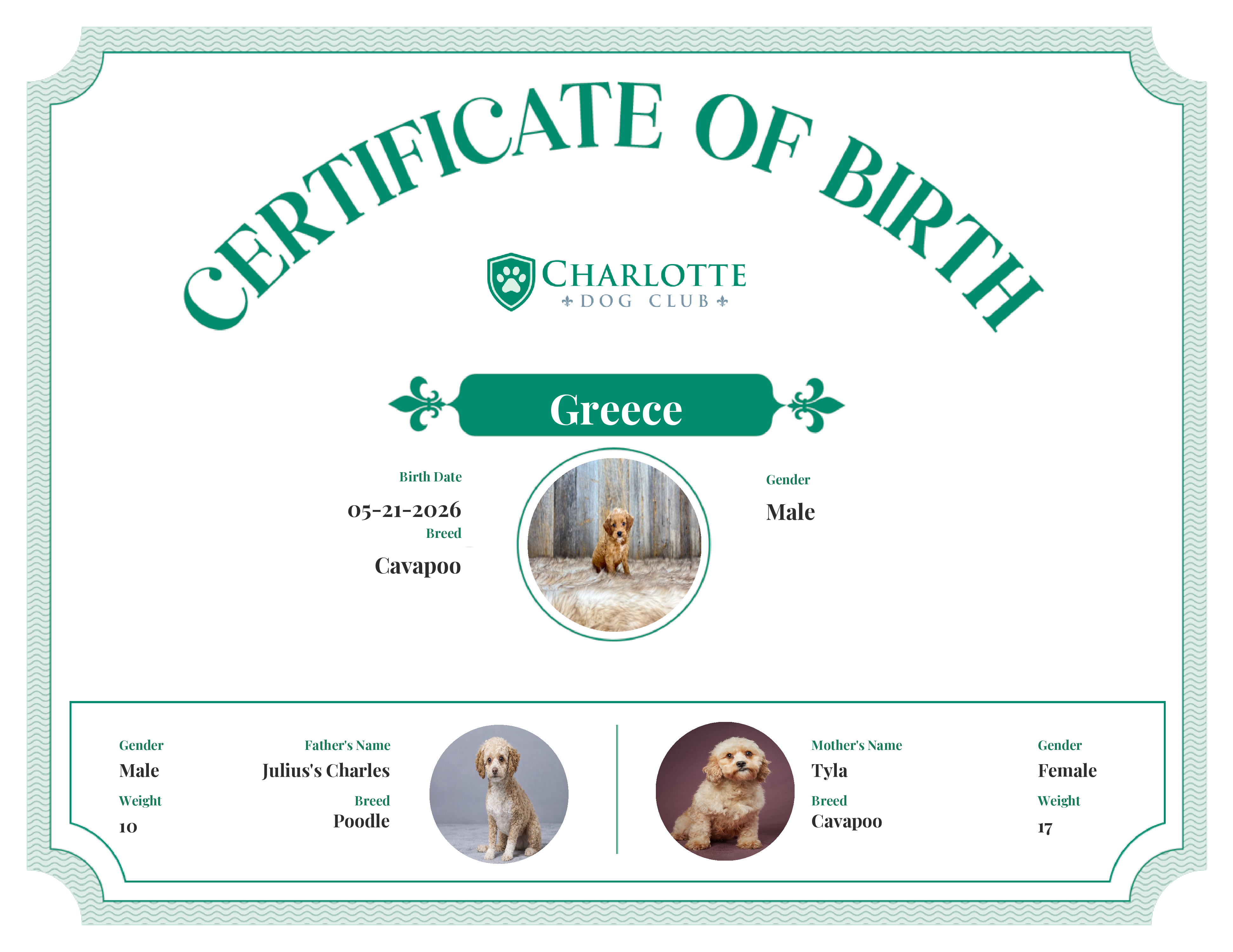 Greece's Birth Certificate