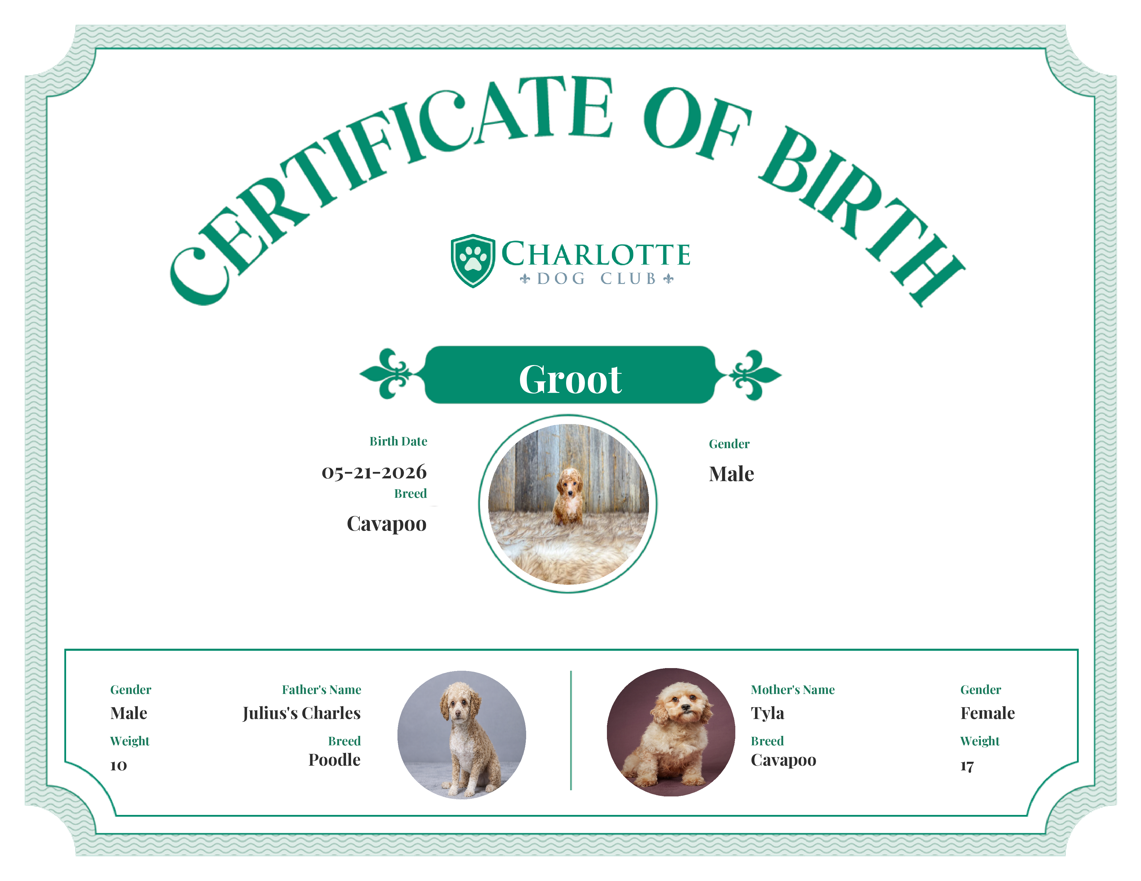 Groot's Birth Certificate