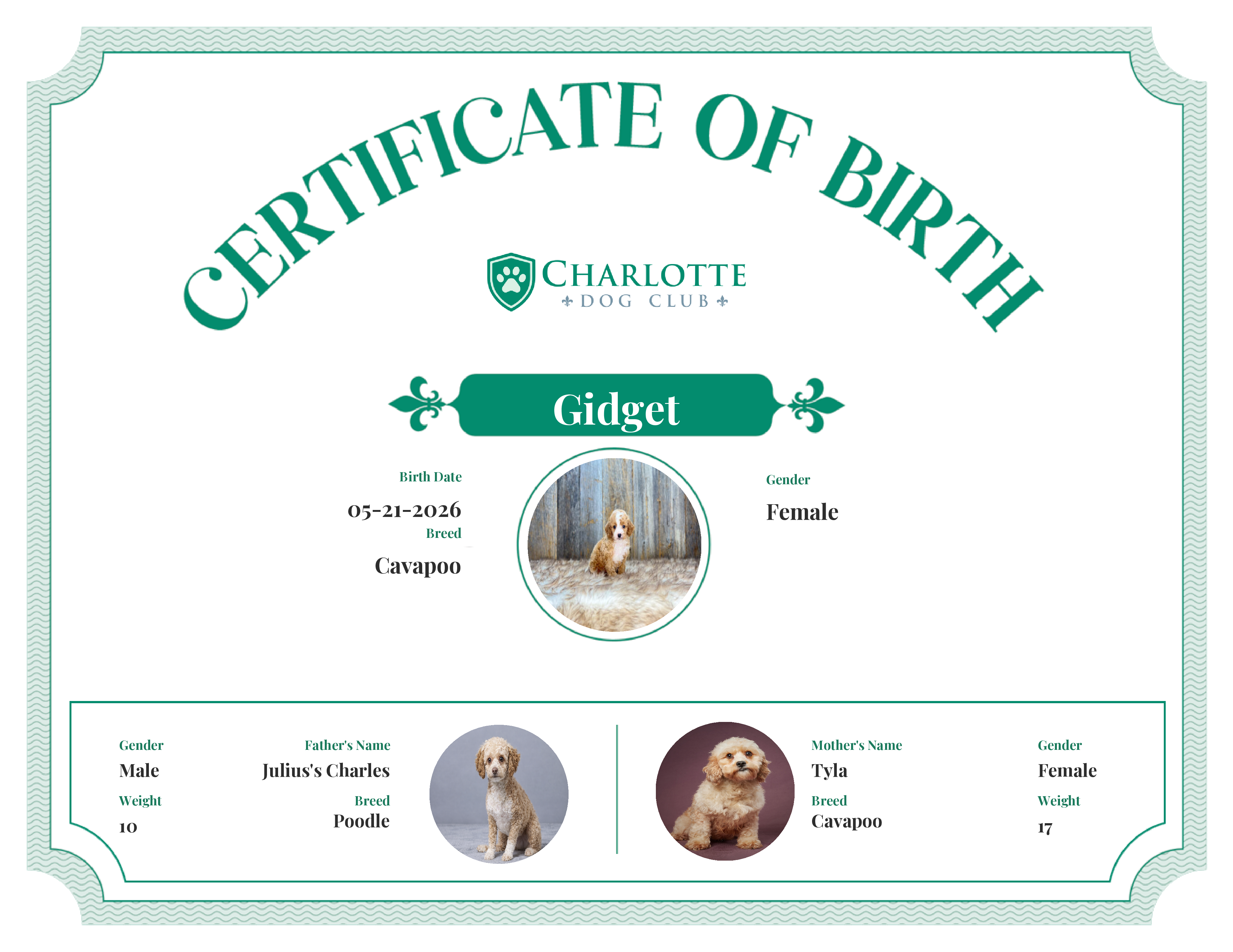 Gidget's Birth Certificate