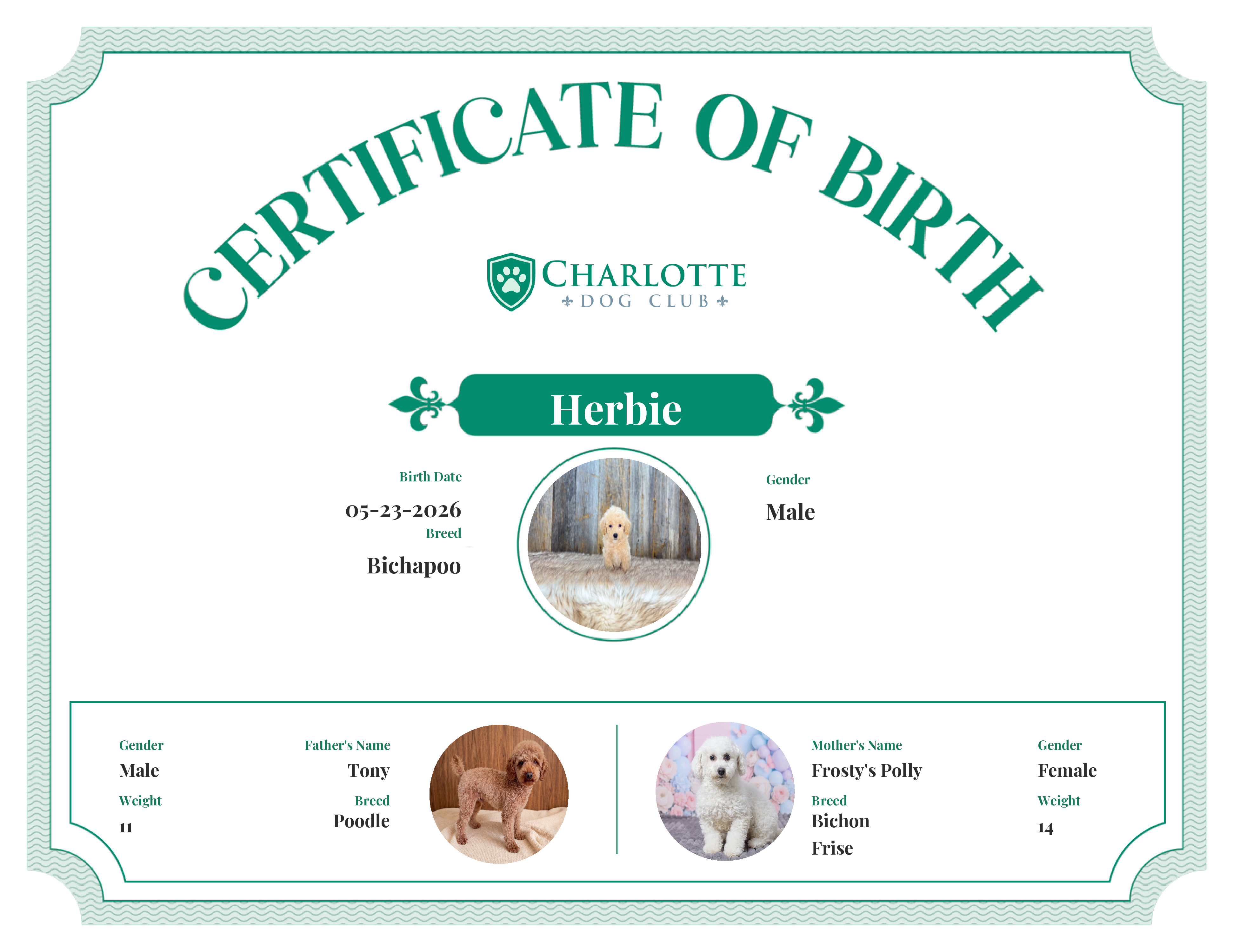Herbie's Birth Certificate