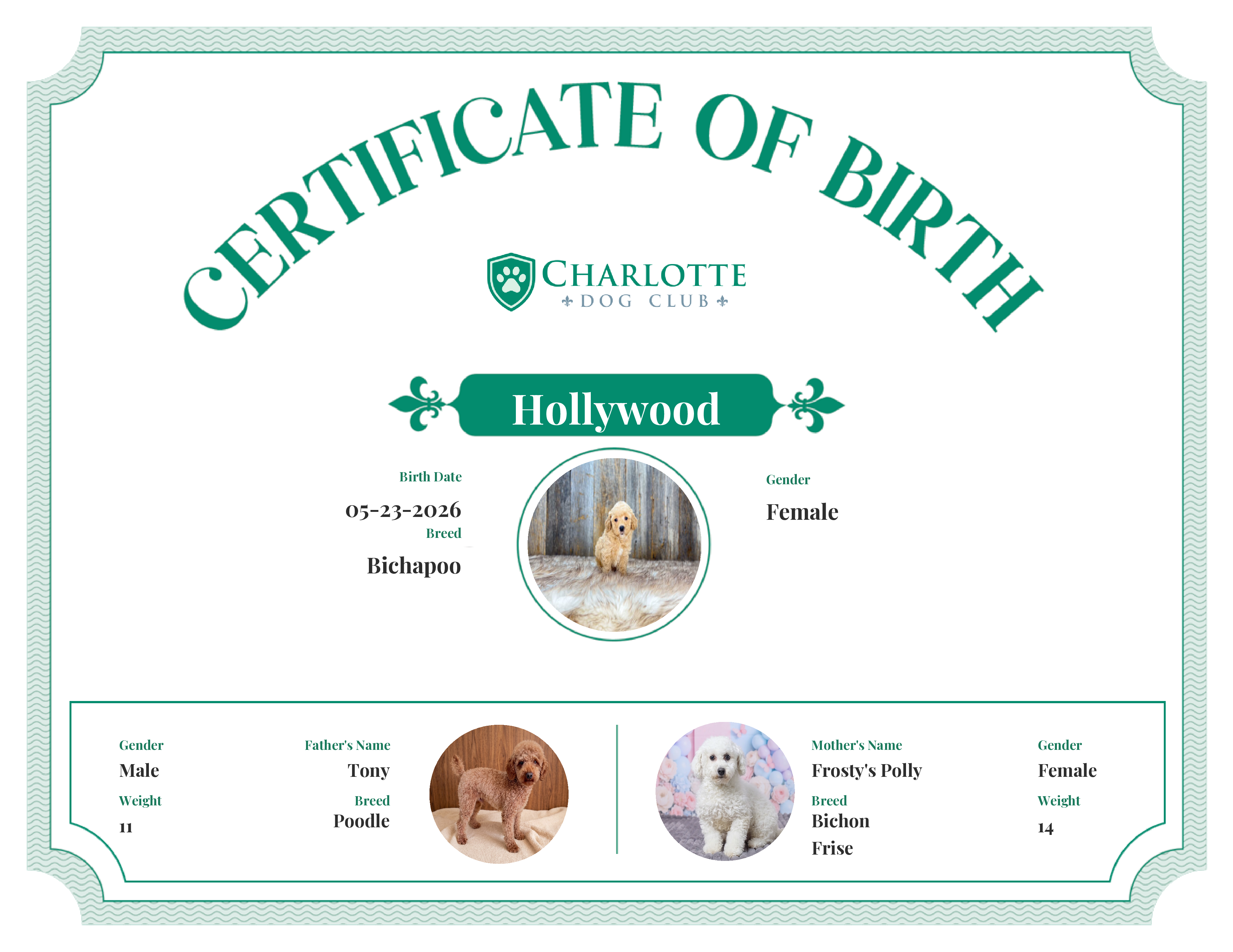 Hollywood's Birth Certificate