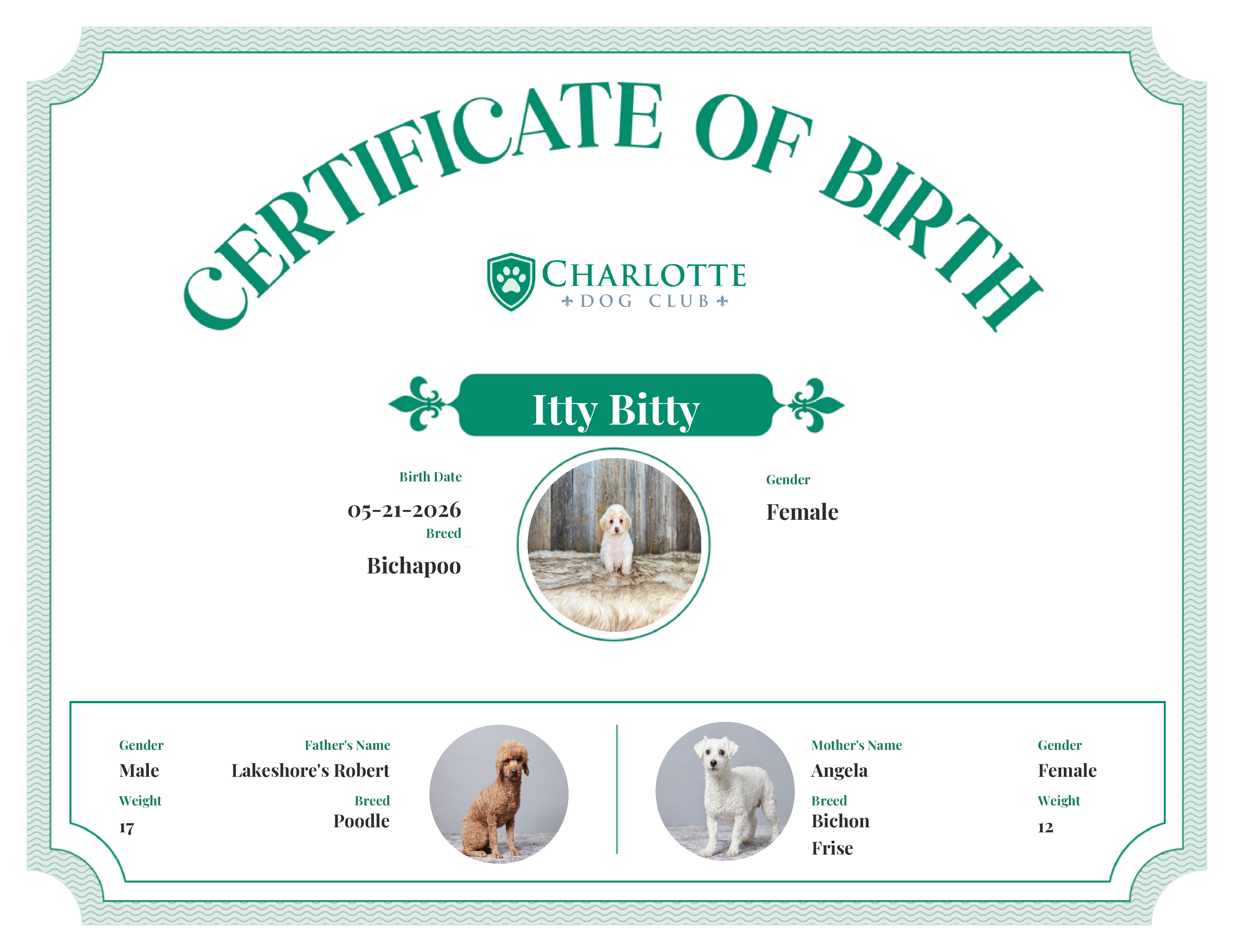Itty Bitty's Birth Certificate