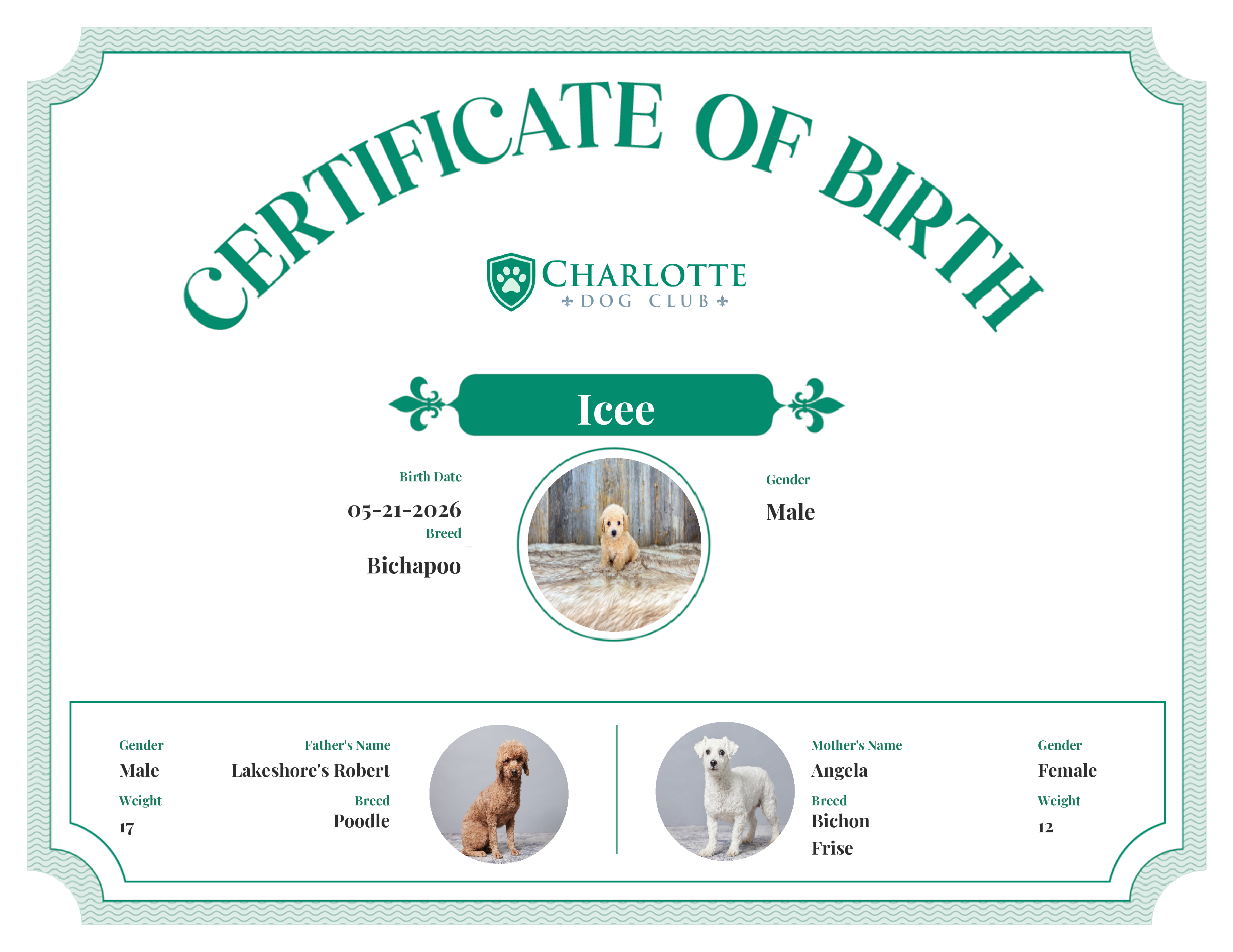 Icee's Birth Certificate