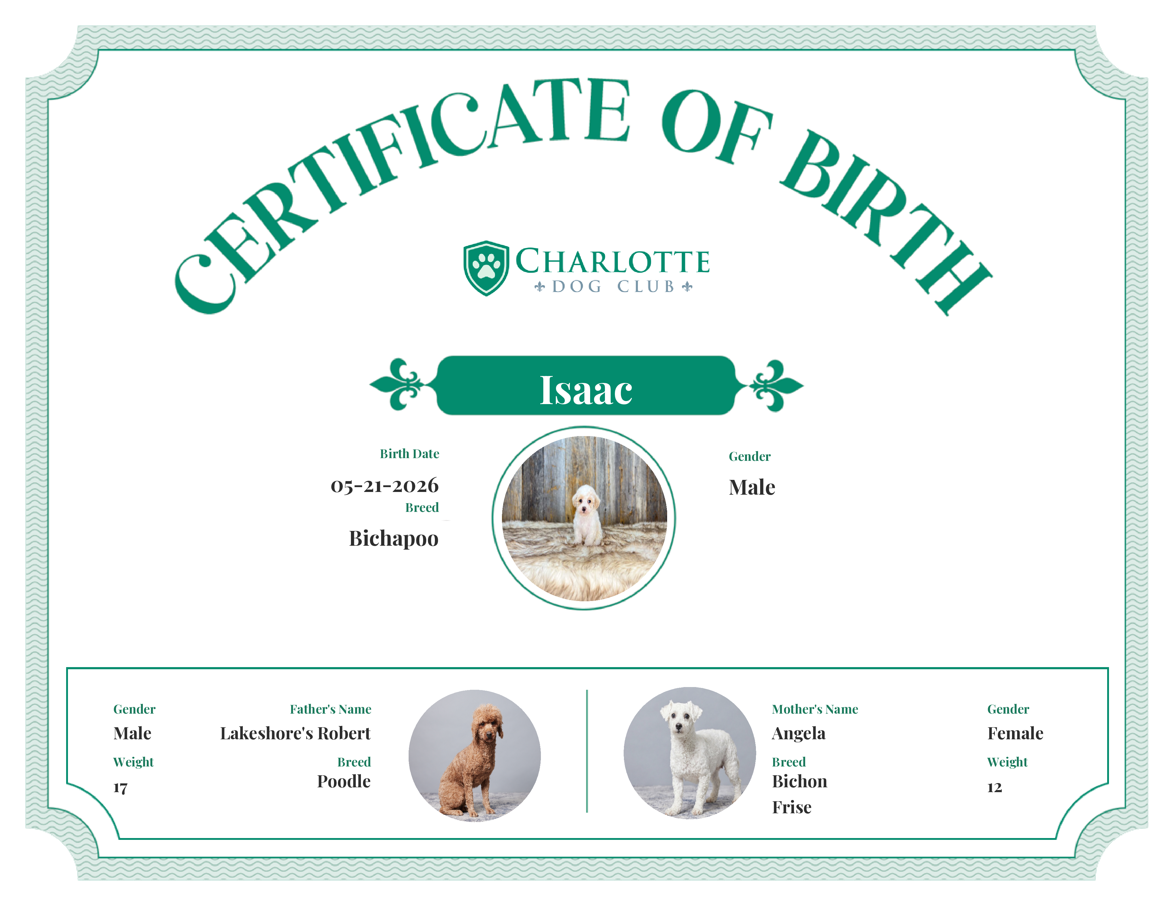 Isaac's Birth Certificate