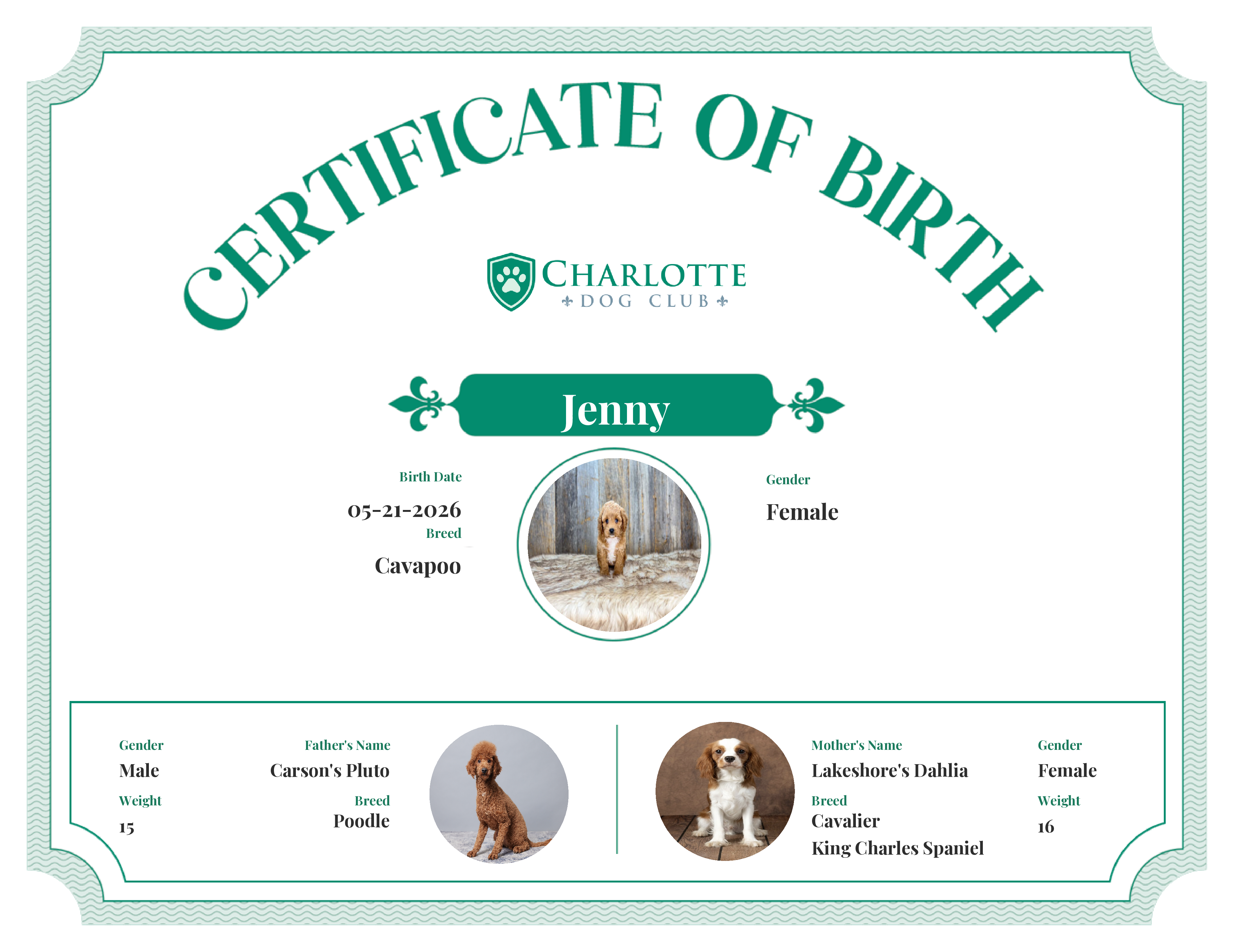Jenny's Birth Certificate