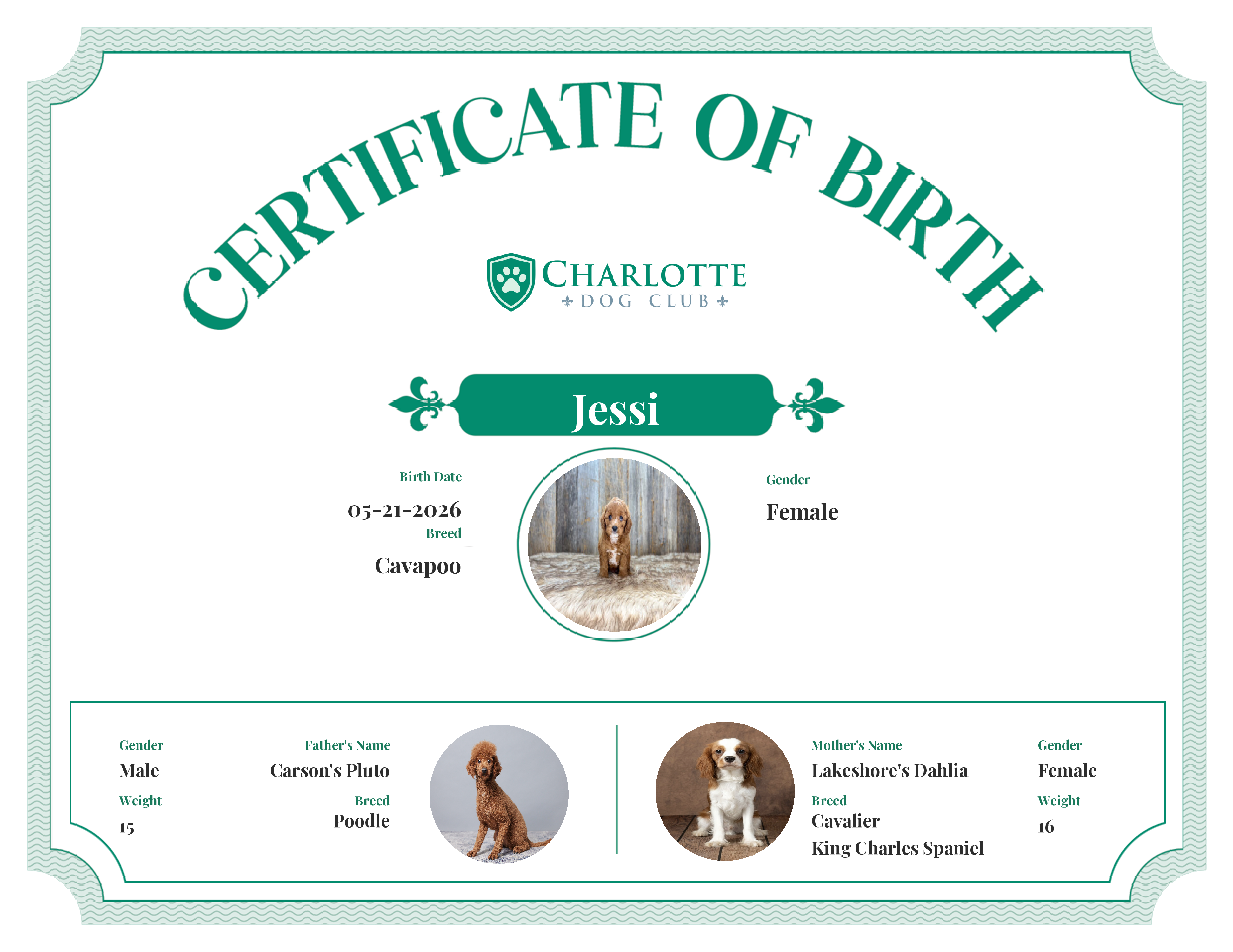 Jessi's Birth Certificate