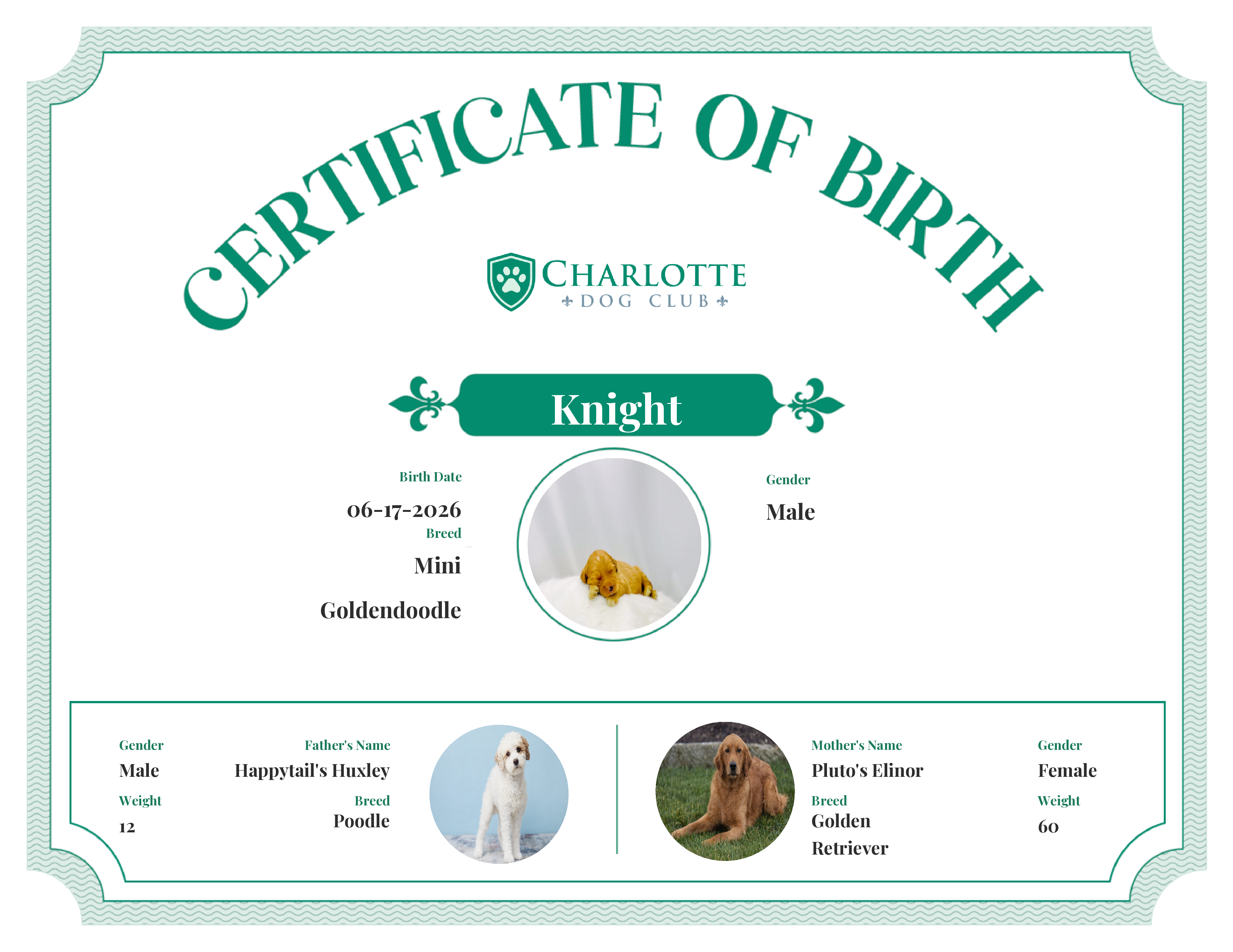 Knight's Birth Certificate