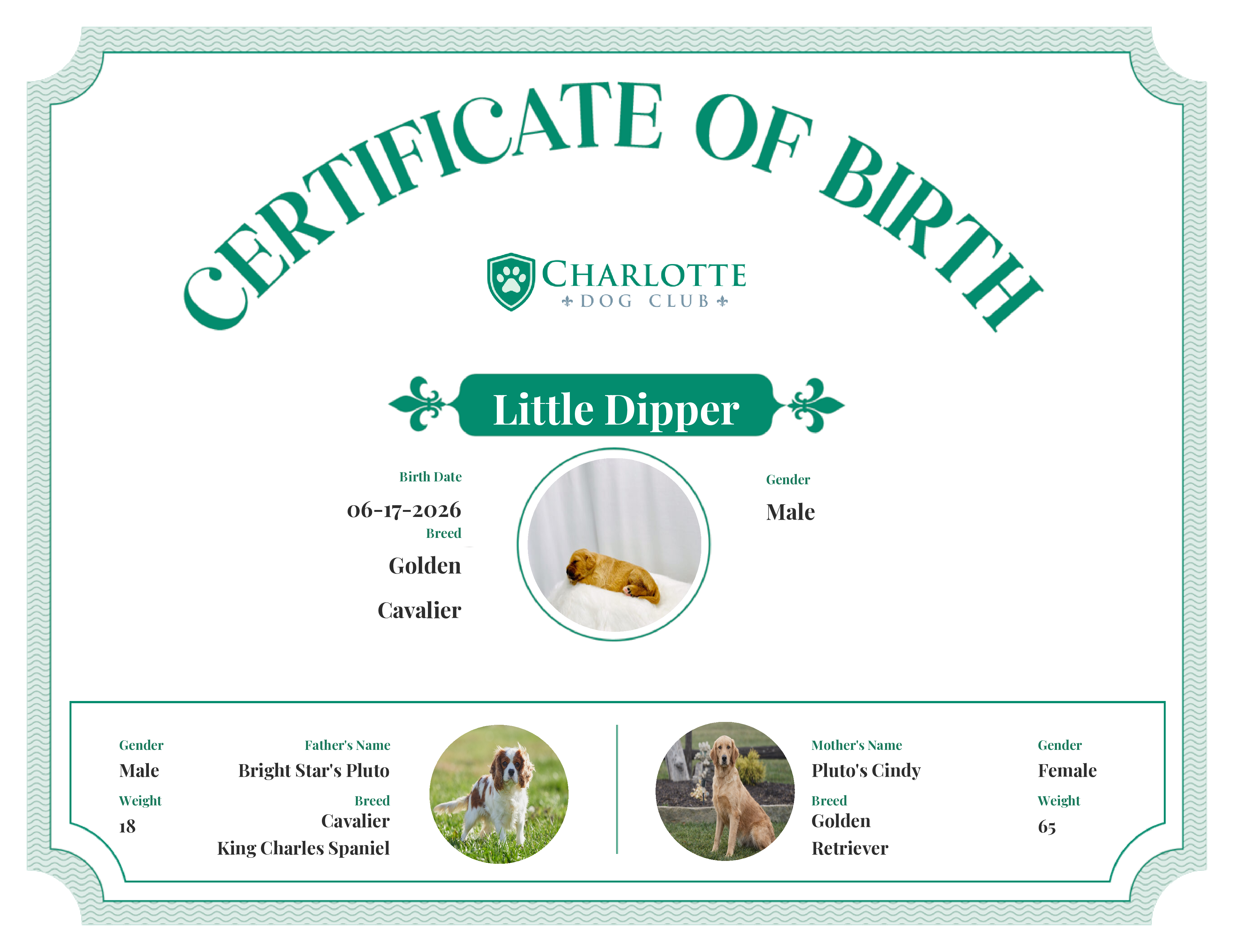 Little Dipper's Birth Certificate