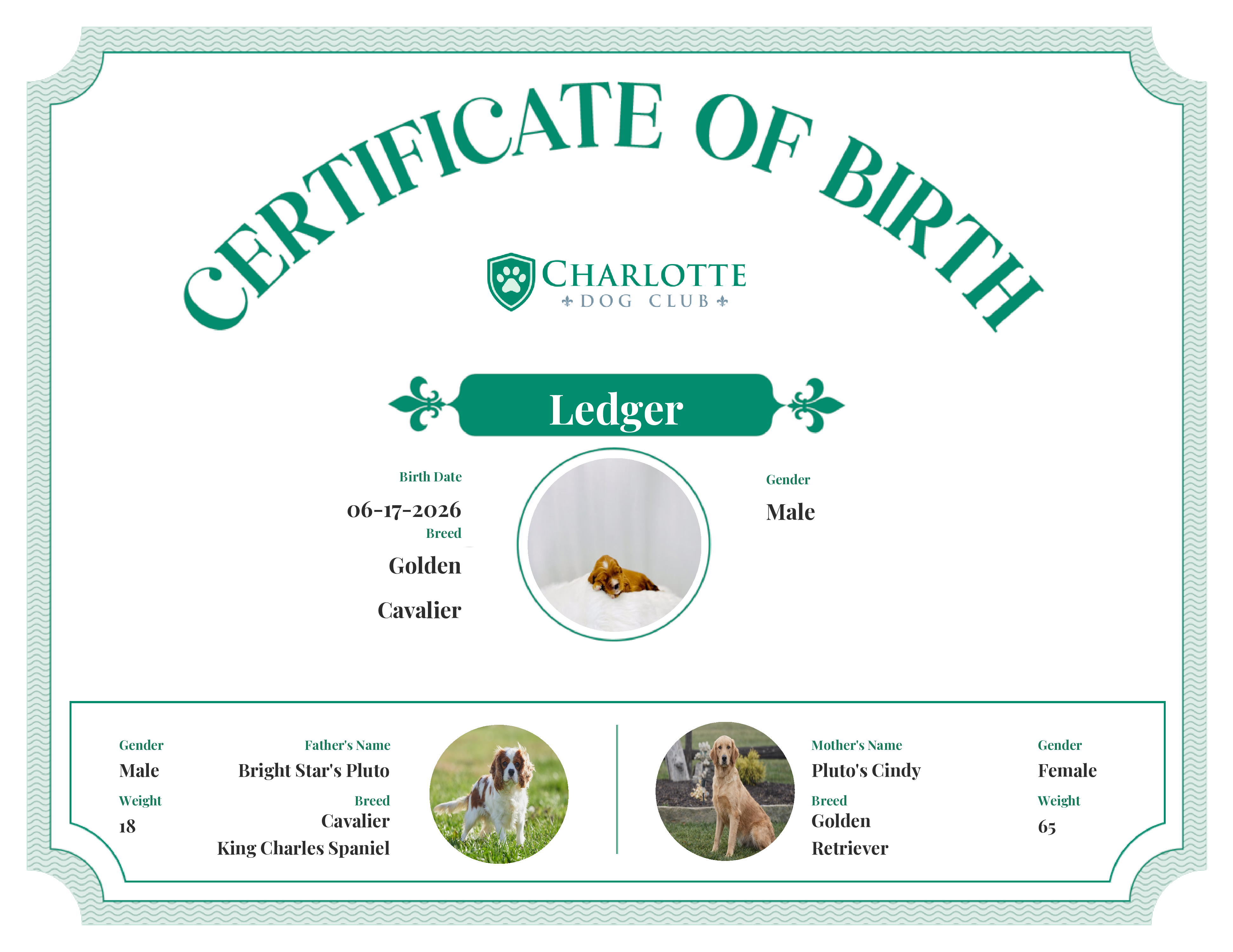 Ledger's Birth Certificate