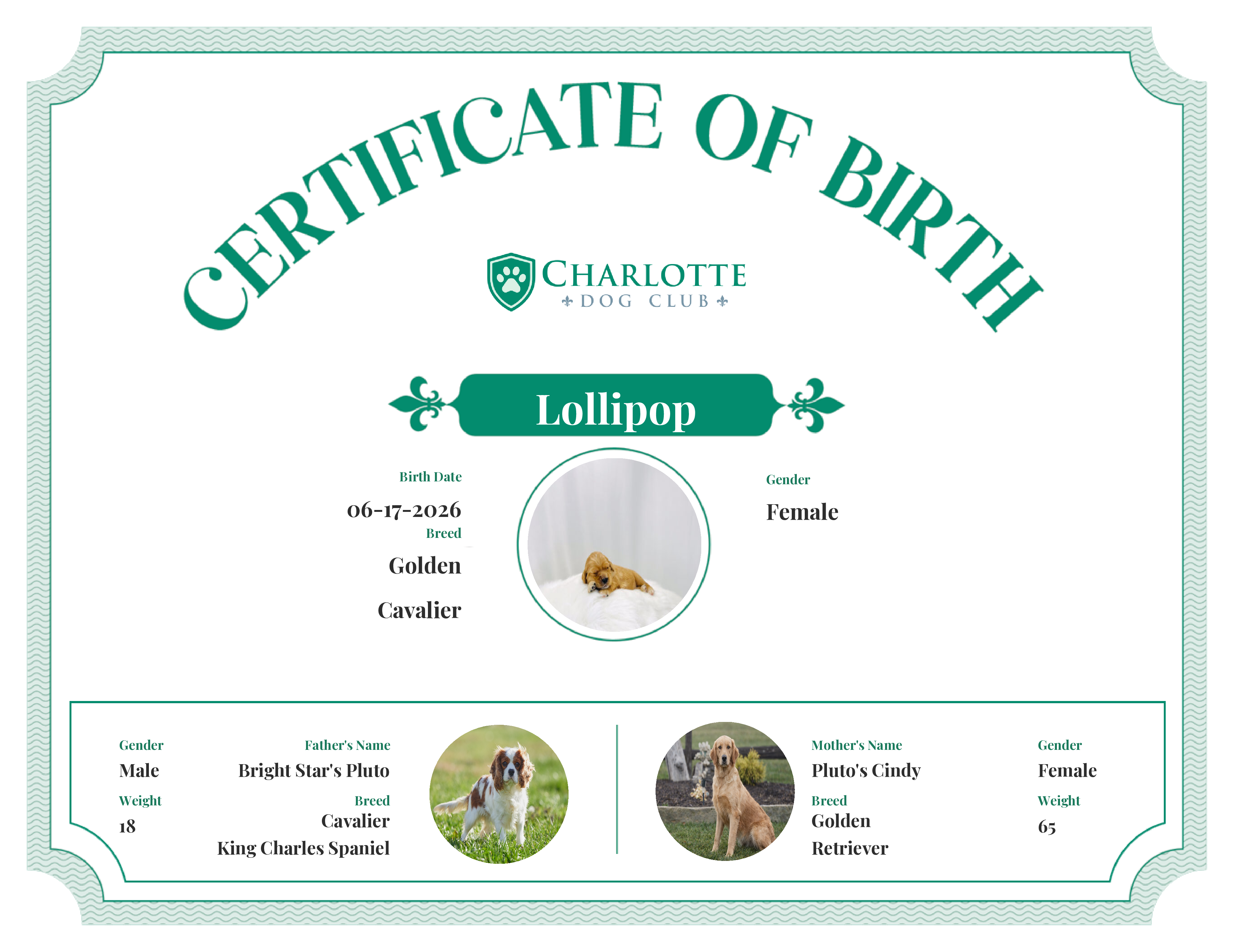 Lollipop's Birth Certificate