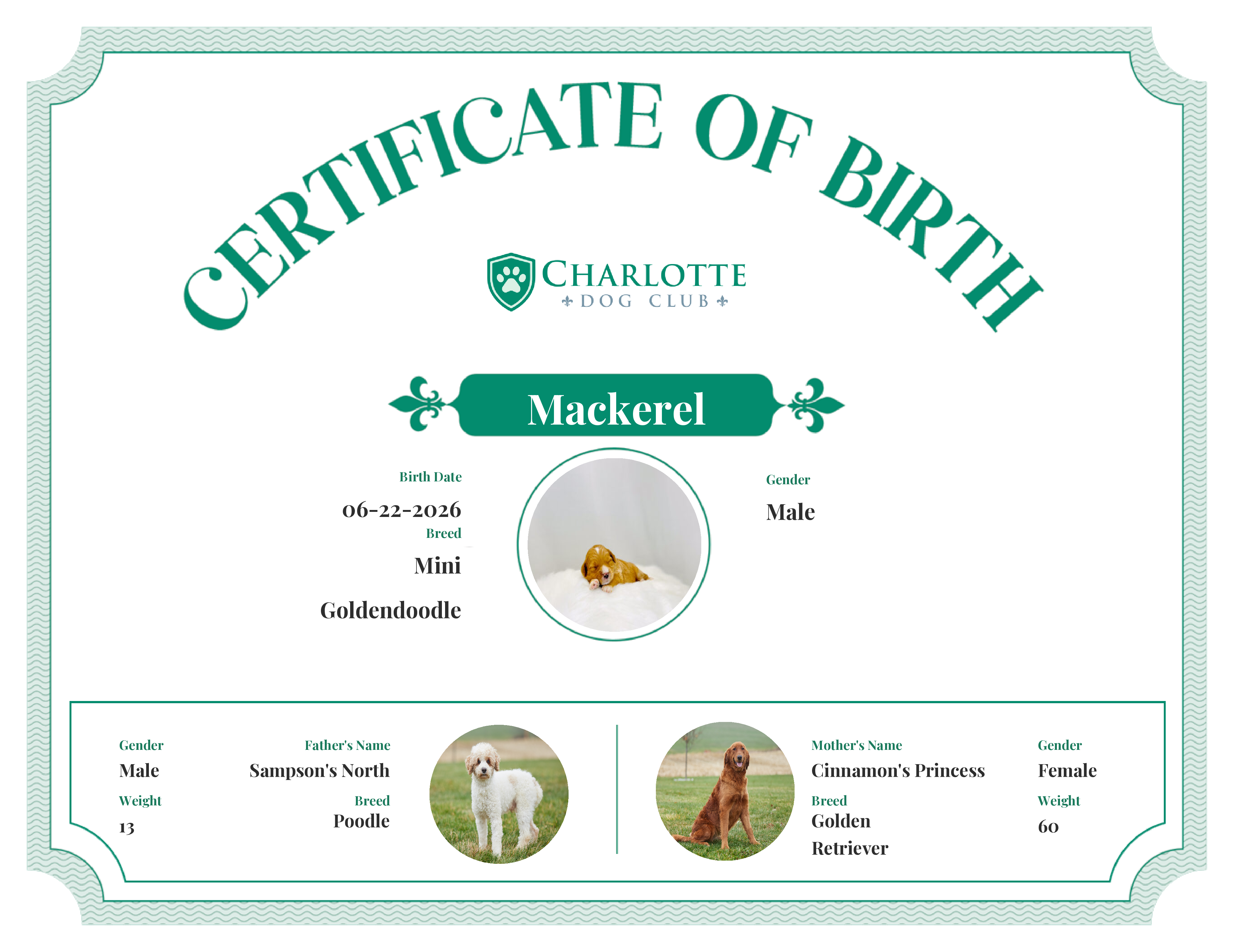 Mackerel's Birth Certificate