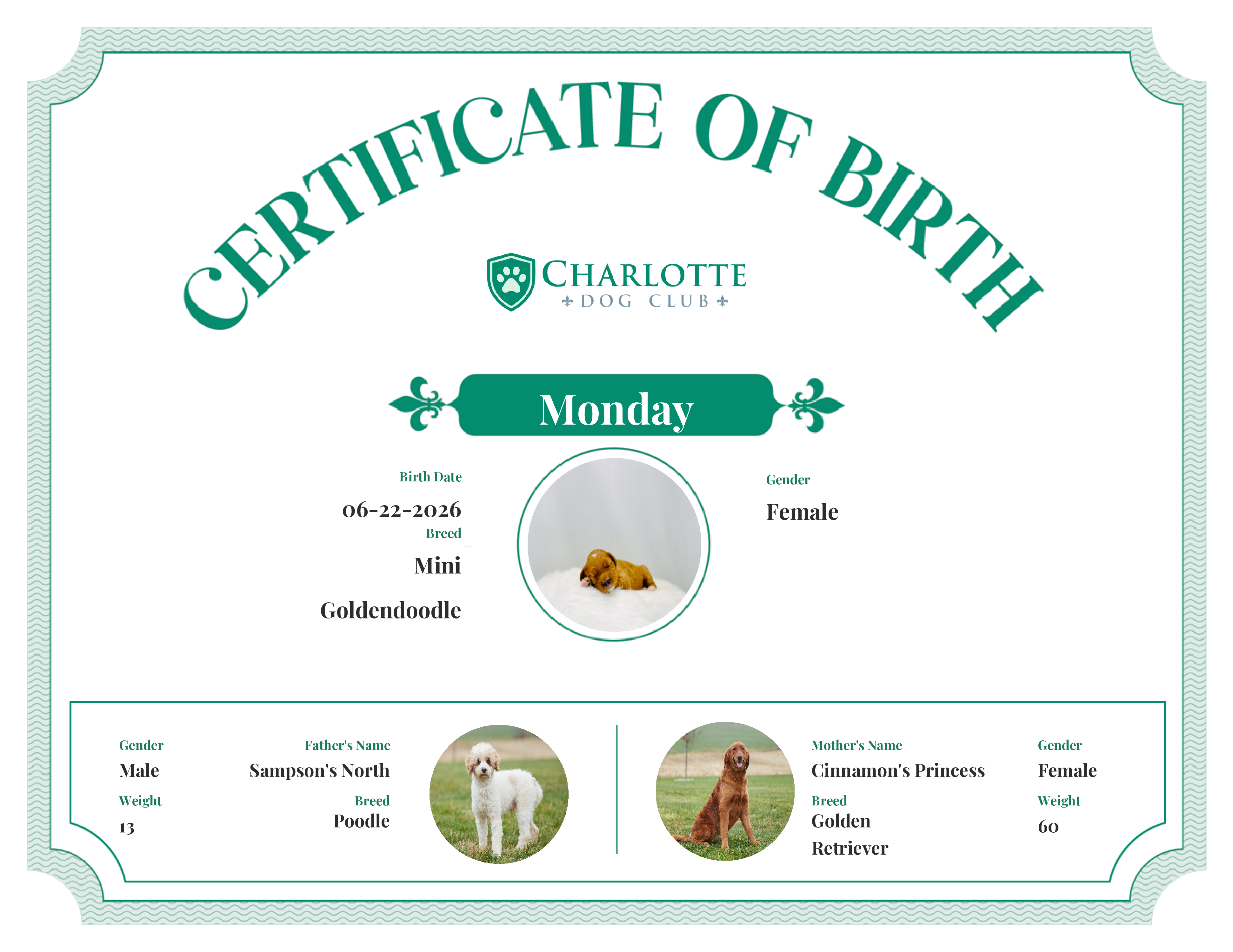 Monday's Birth Certificate