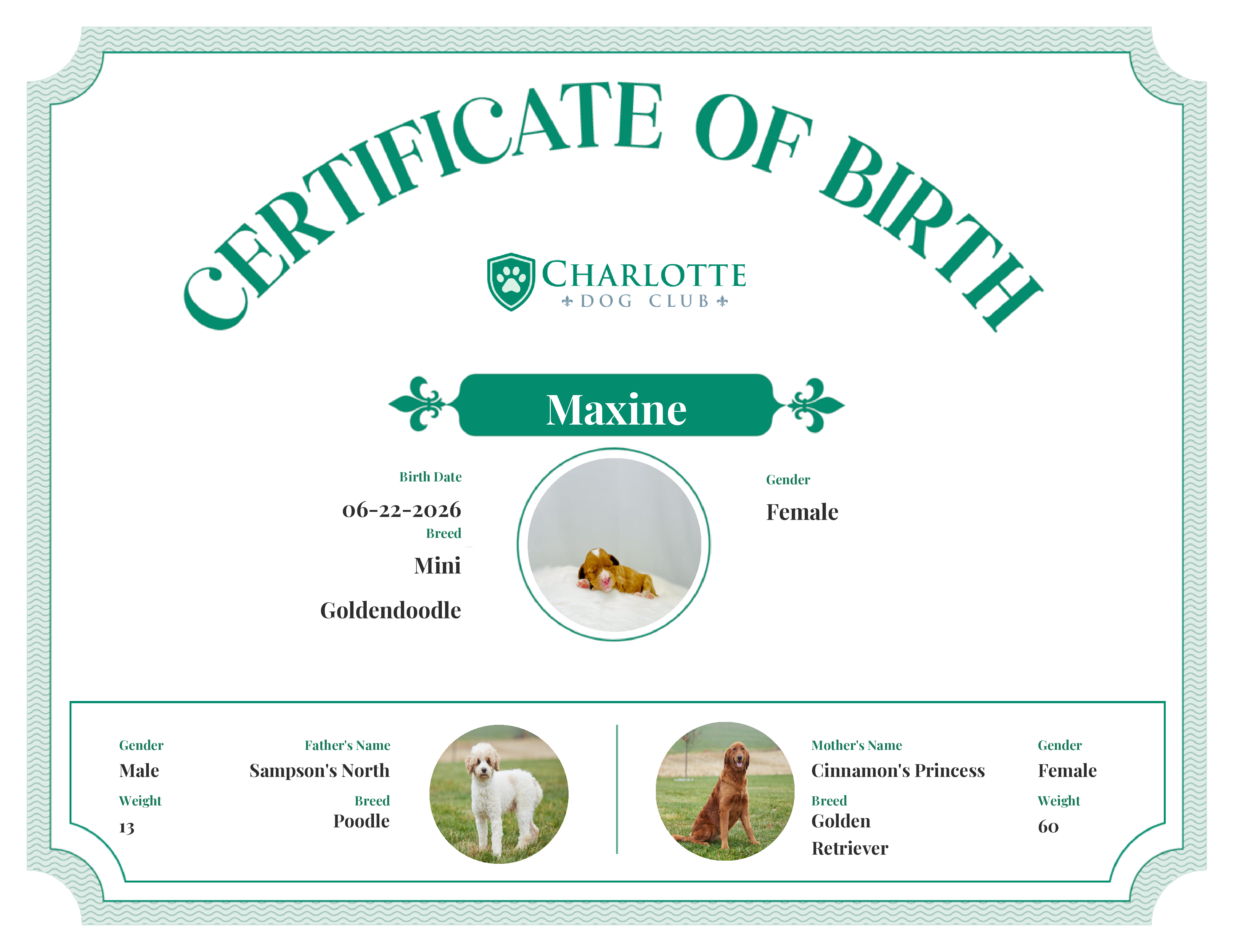 Maxine's Birth Certificate