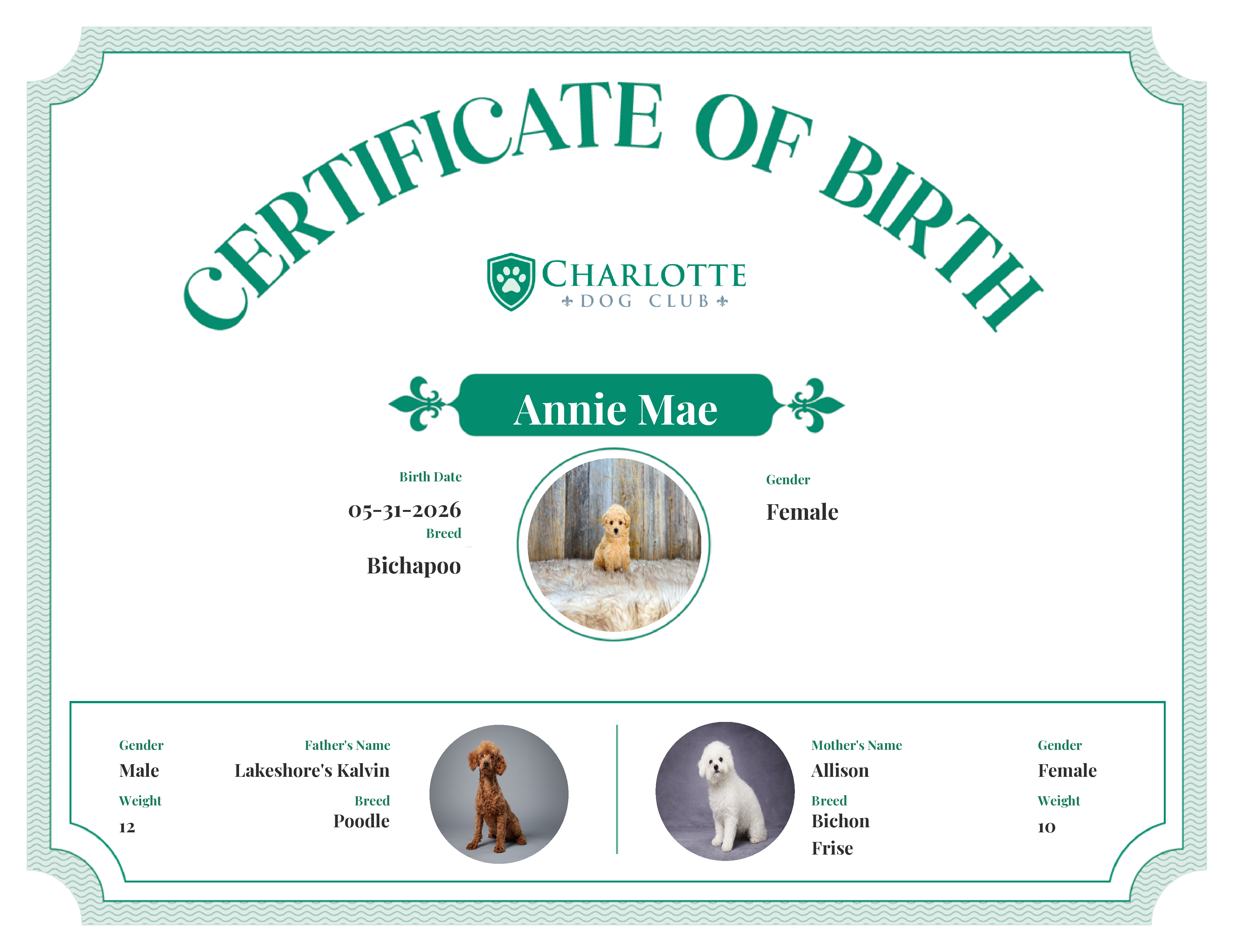 Annie Mae's Birth Certificate