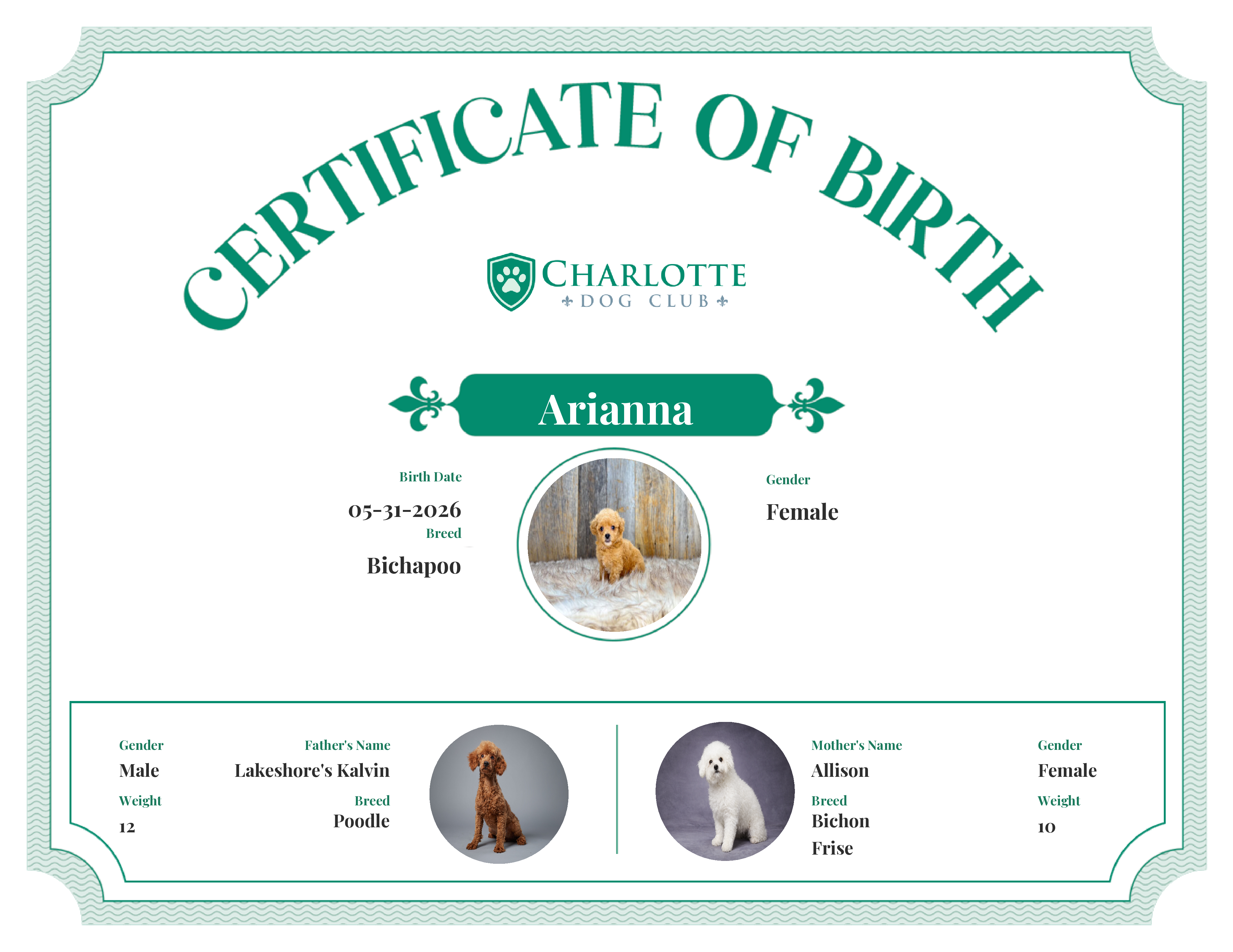 Arianna's Birth Certificate