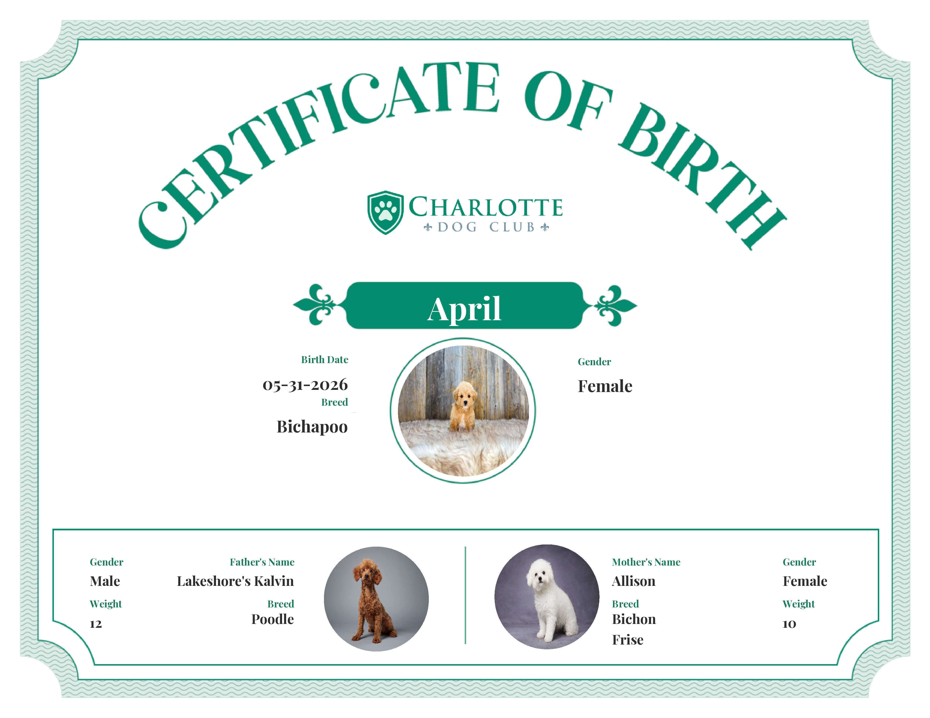 April's Birth Certificate