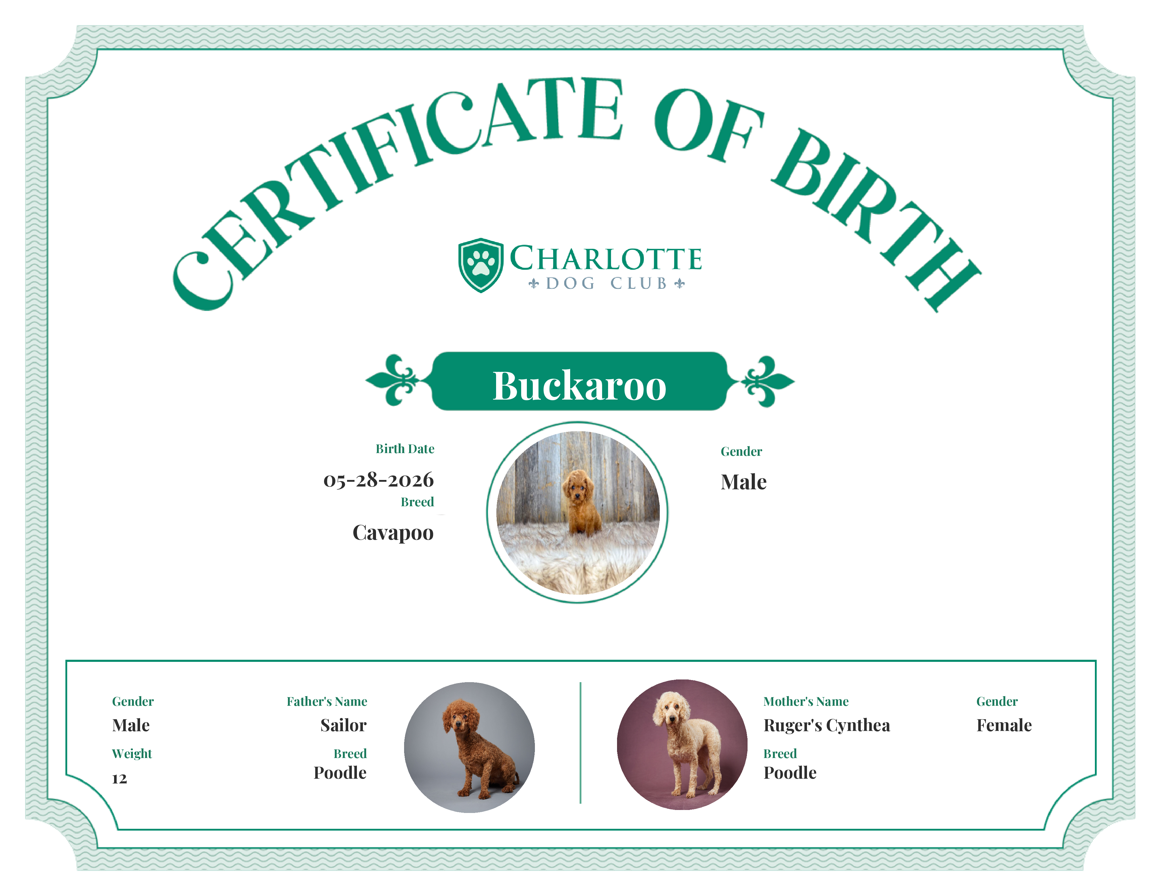 Buckaroo's Birth Certificate