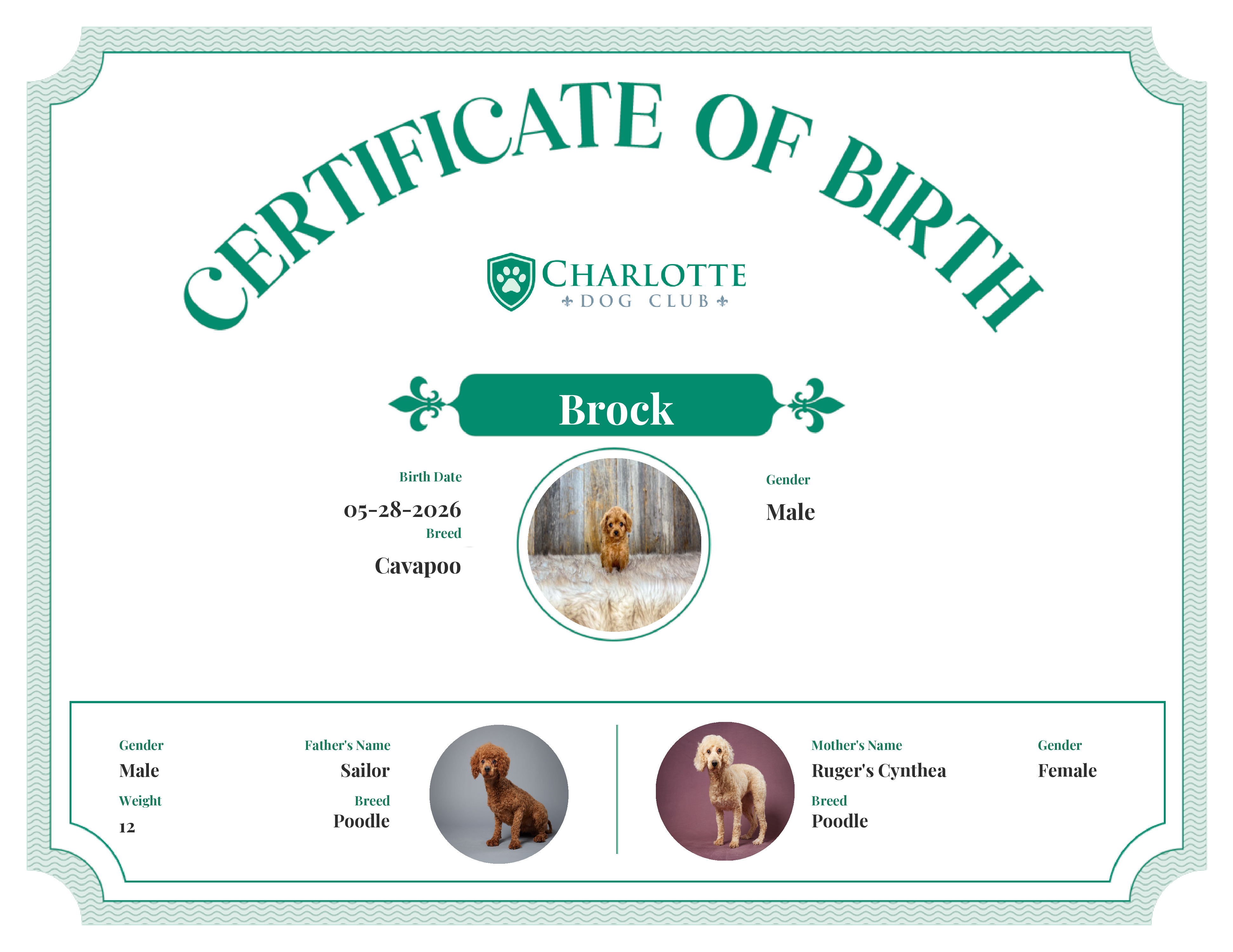 Brock's Birth Certificate