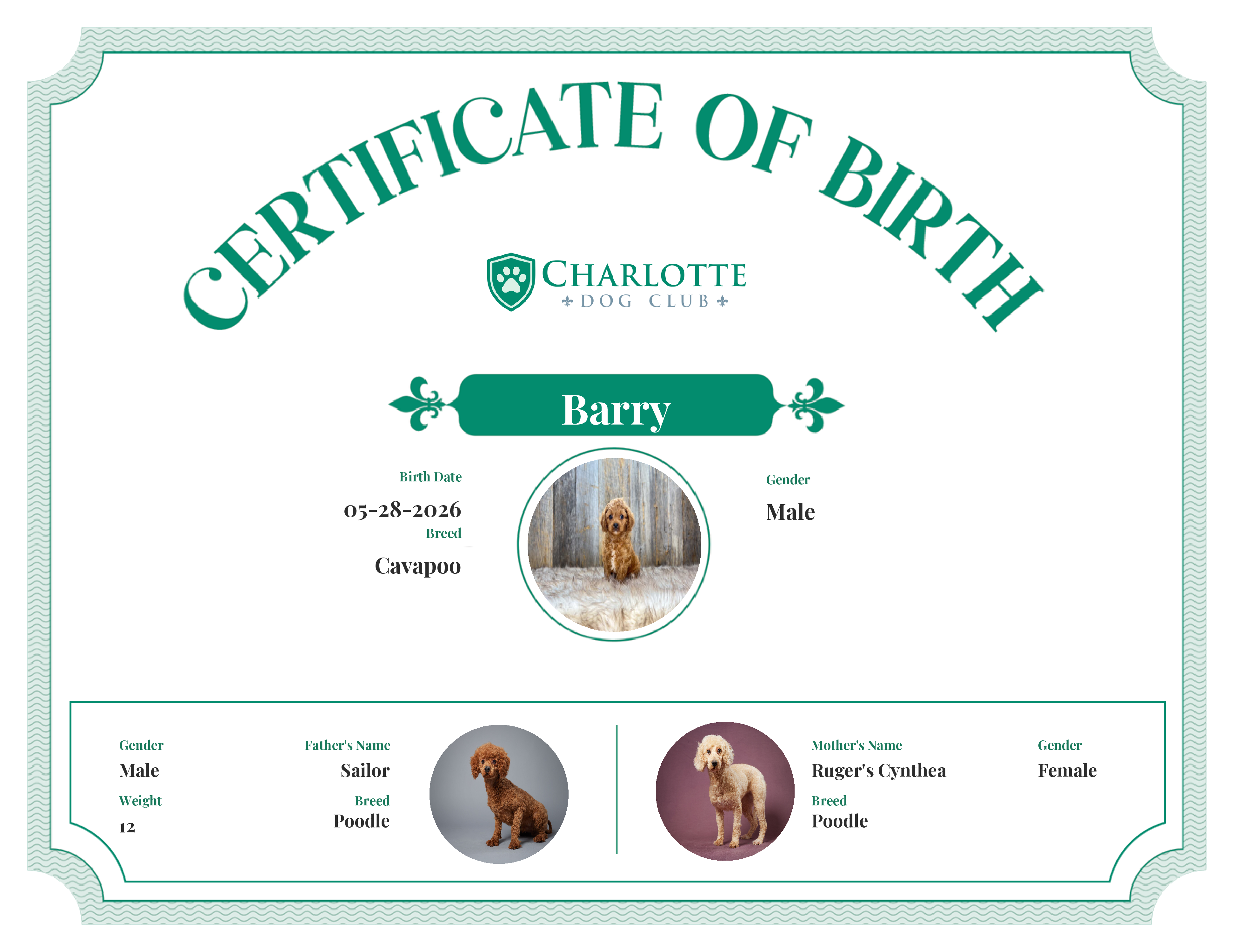 Barry's Birth Certificate