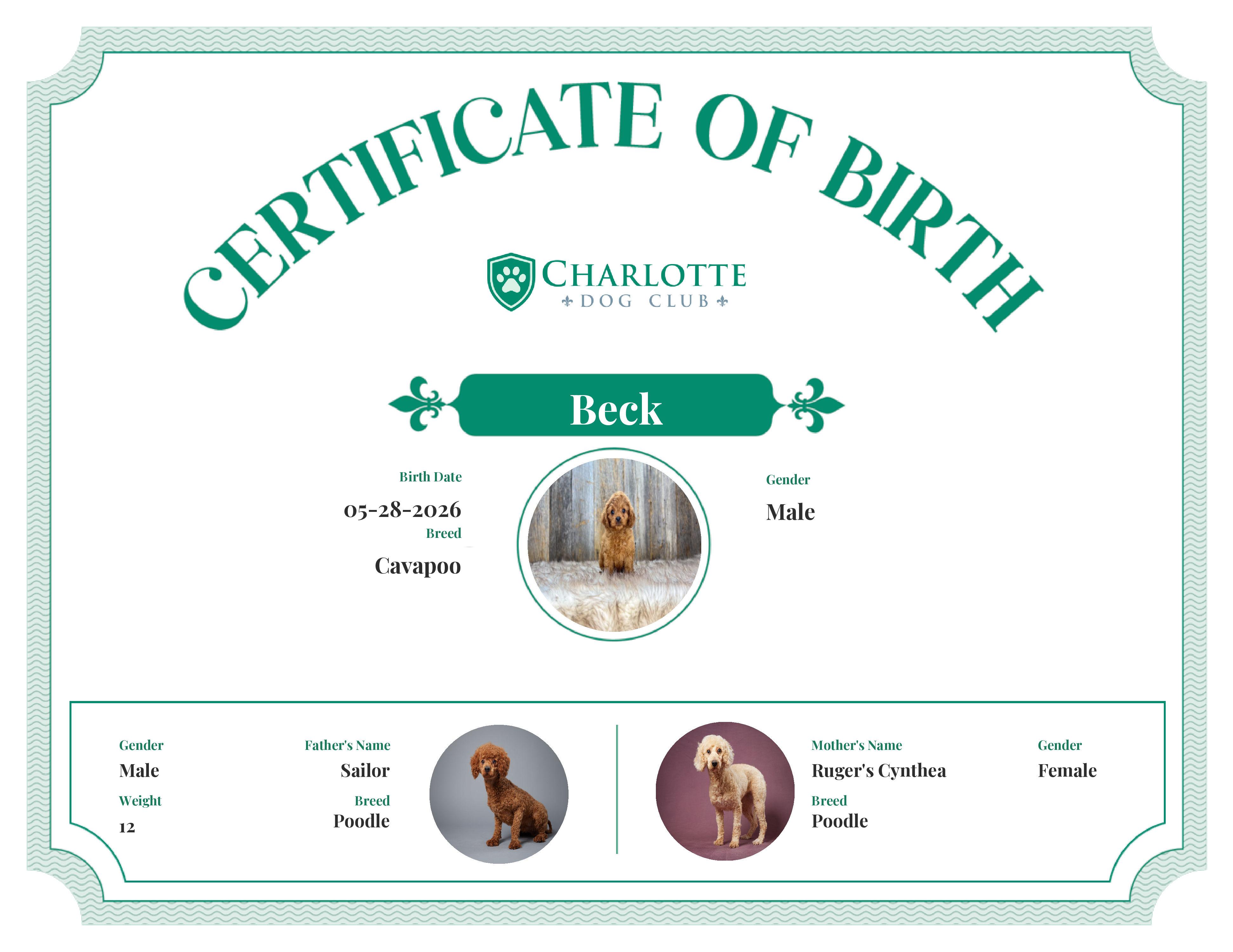 Beck's Birth Certificate