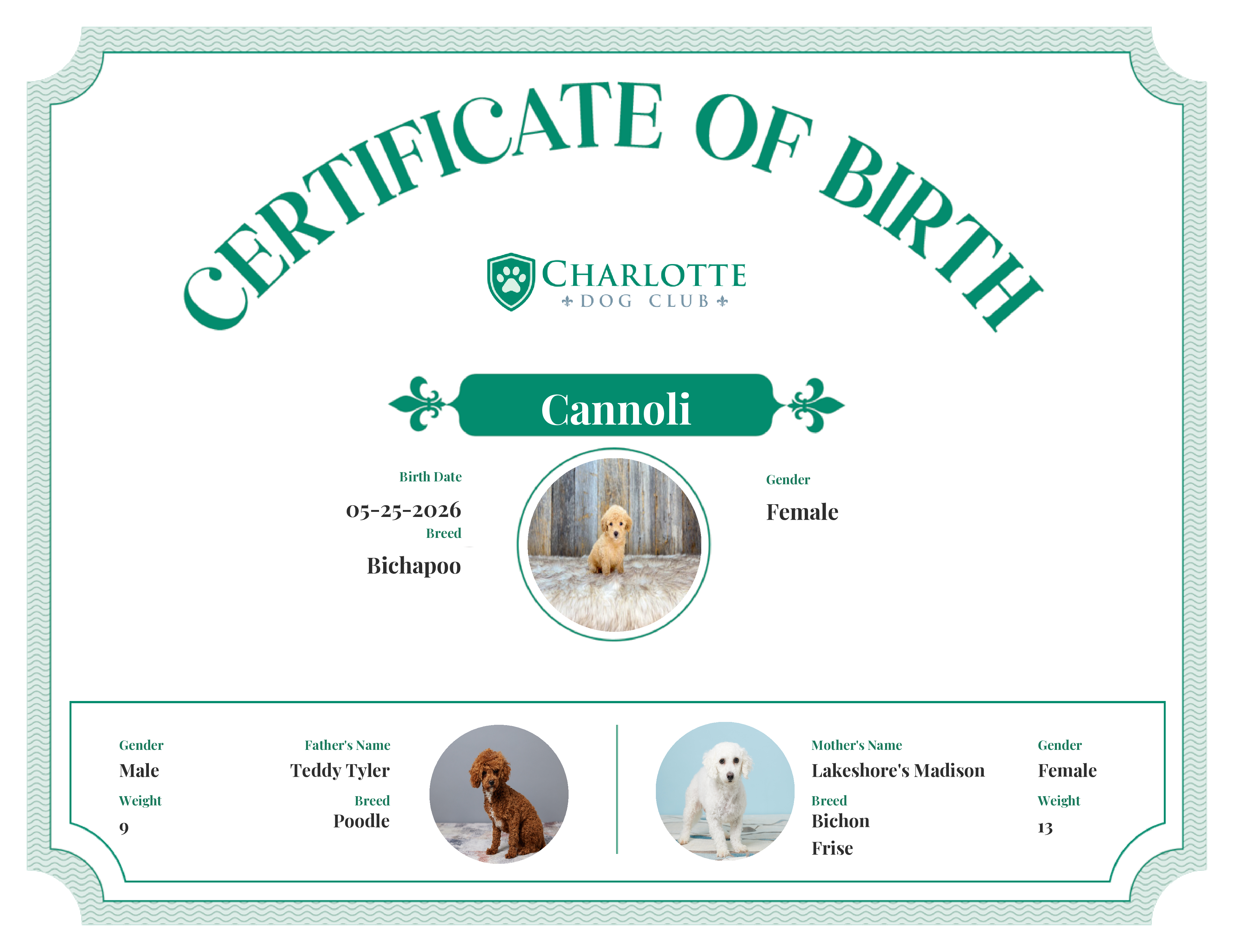 Cannoli's Birth Certificate