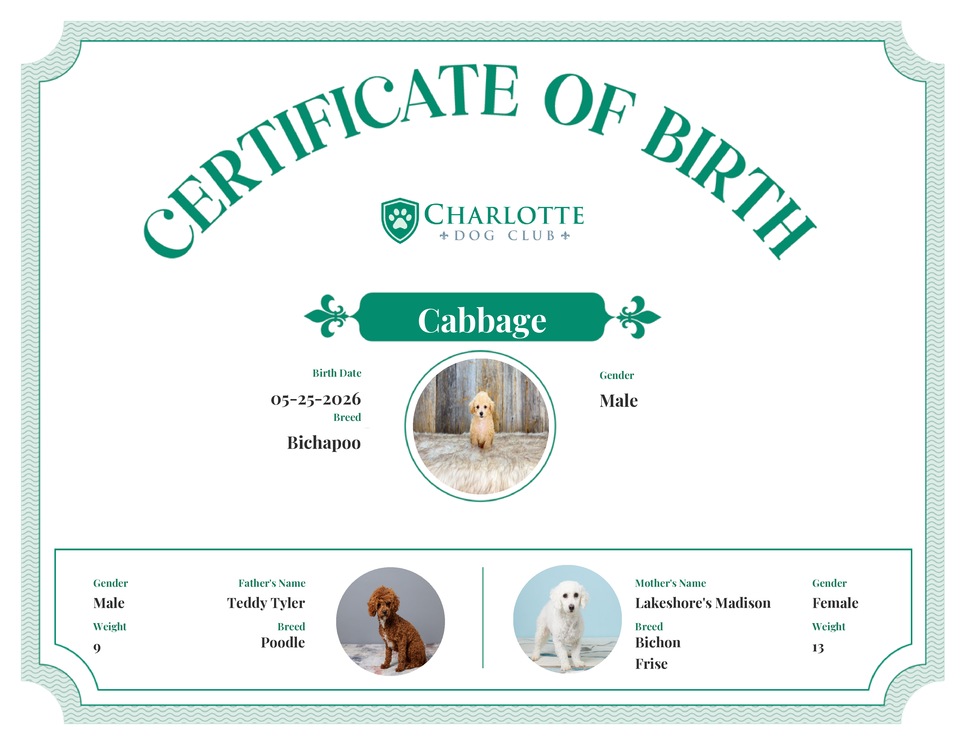 Cabbage's Birth Certificate