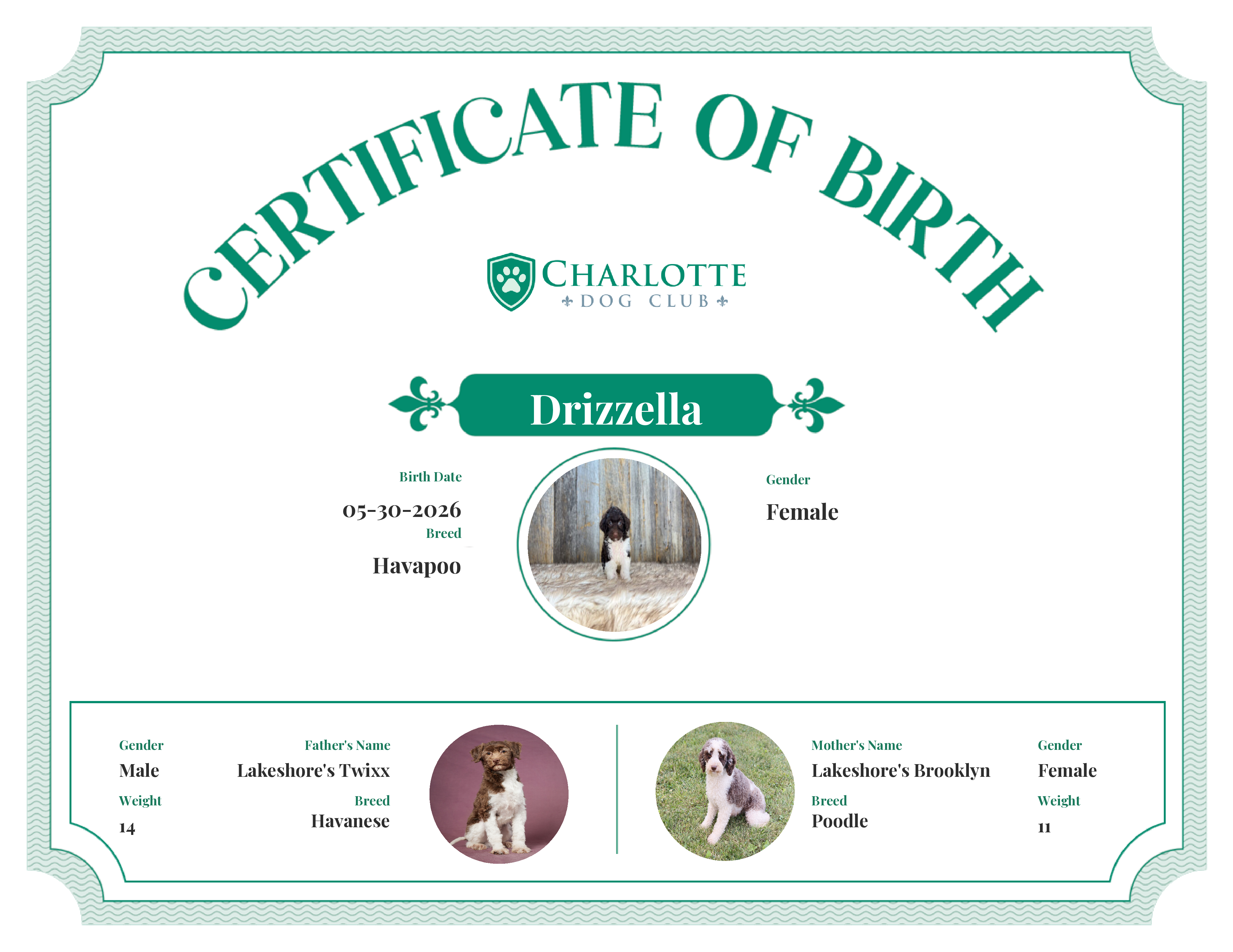 Drizzella's Birth Certificate