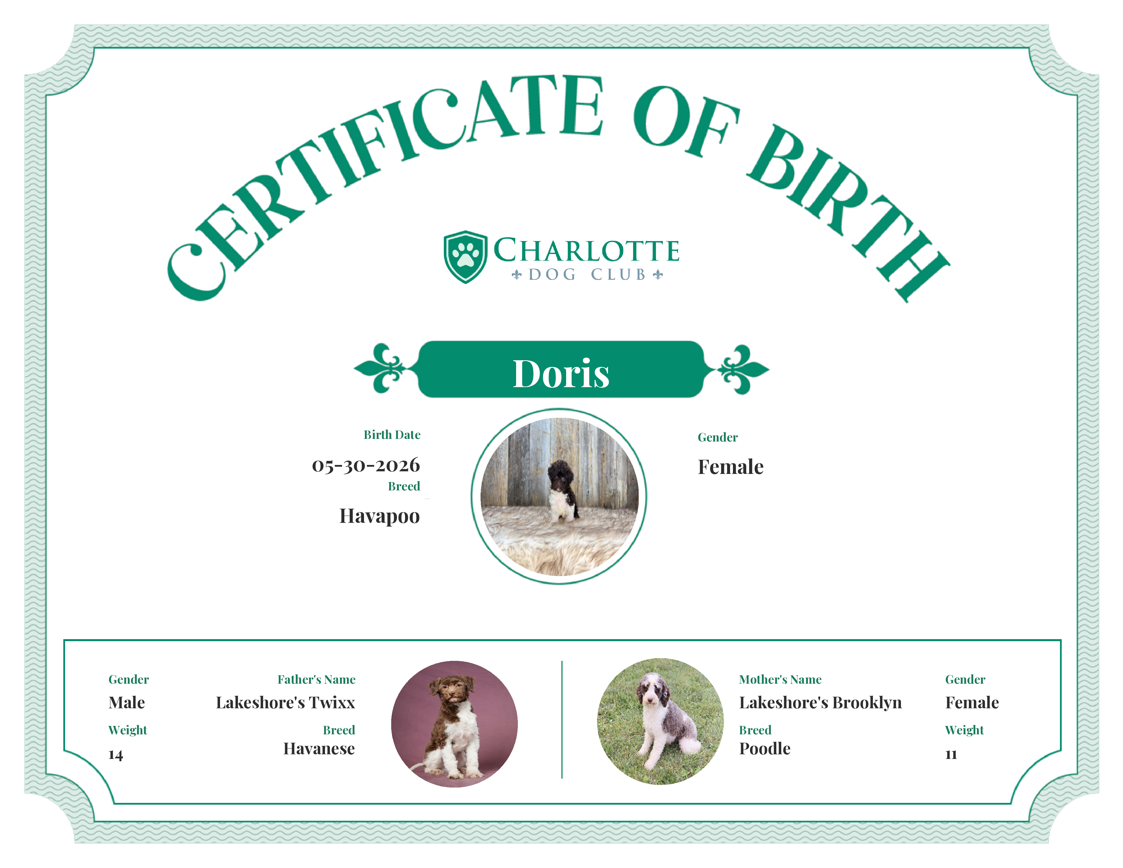 Doris's Birth Certificate