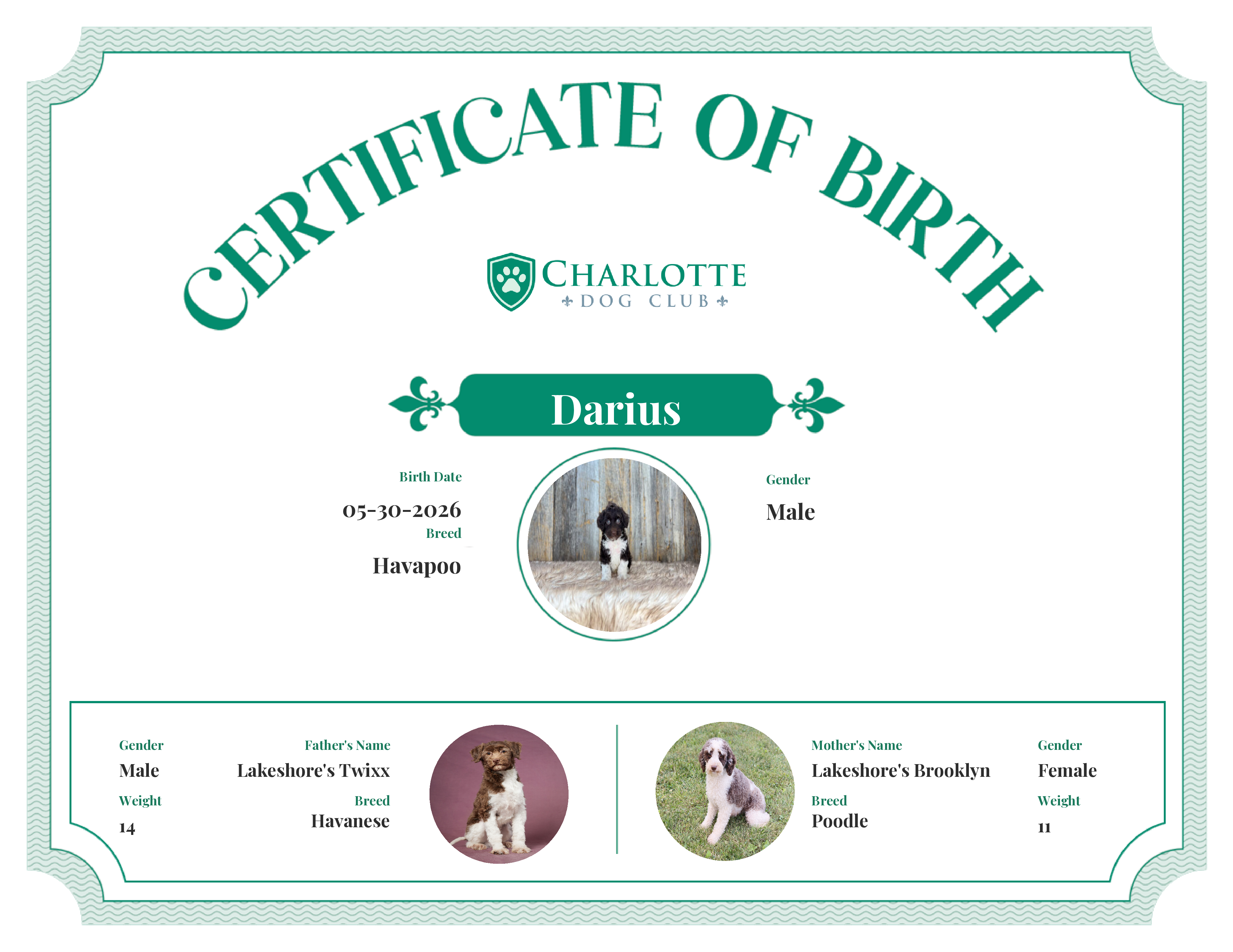 Darius's Birth Certificate