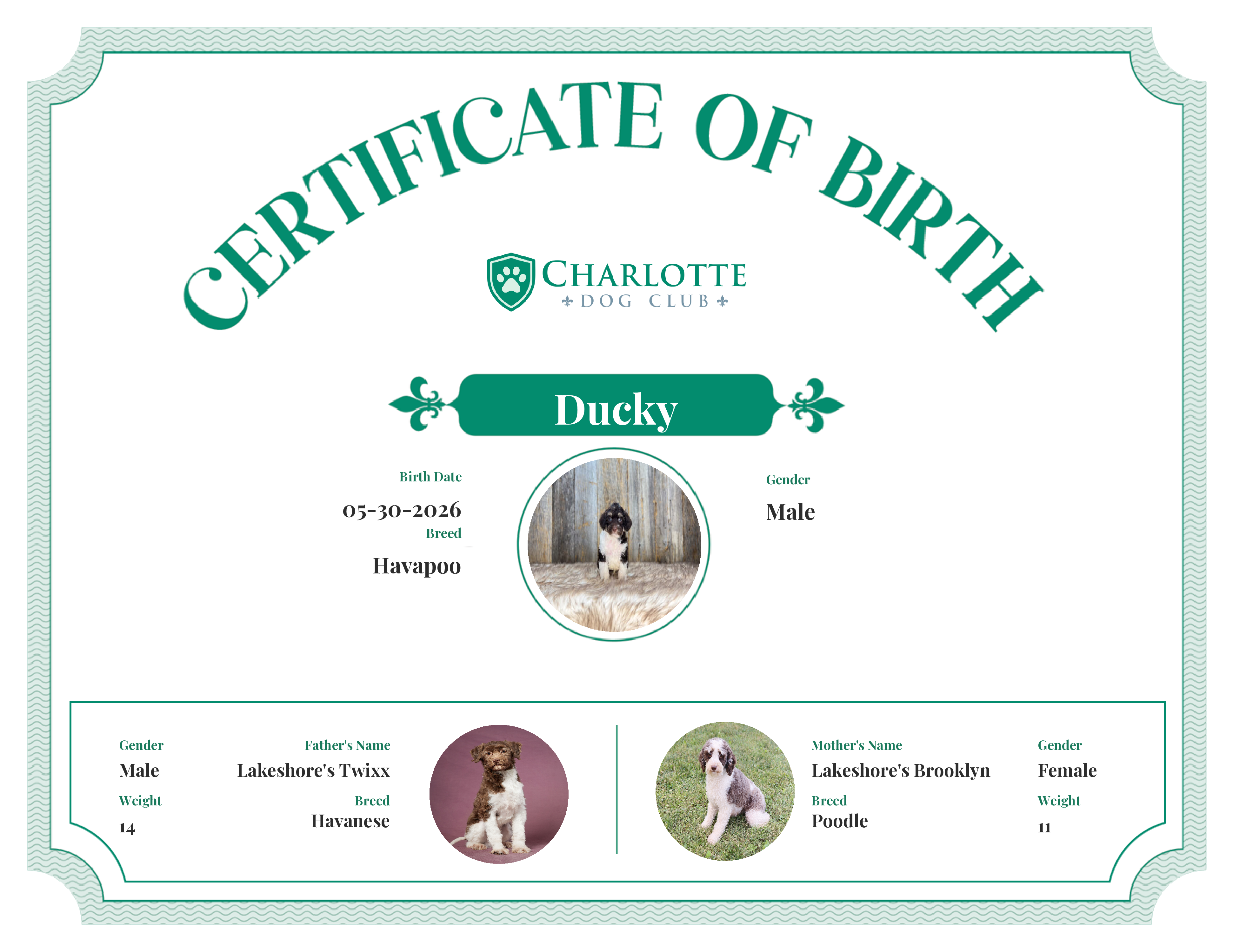 Ducky's Birth Certificate